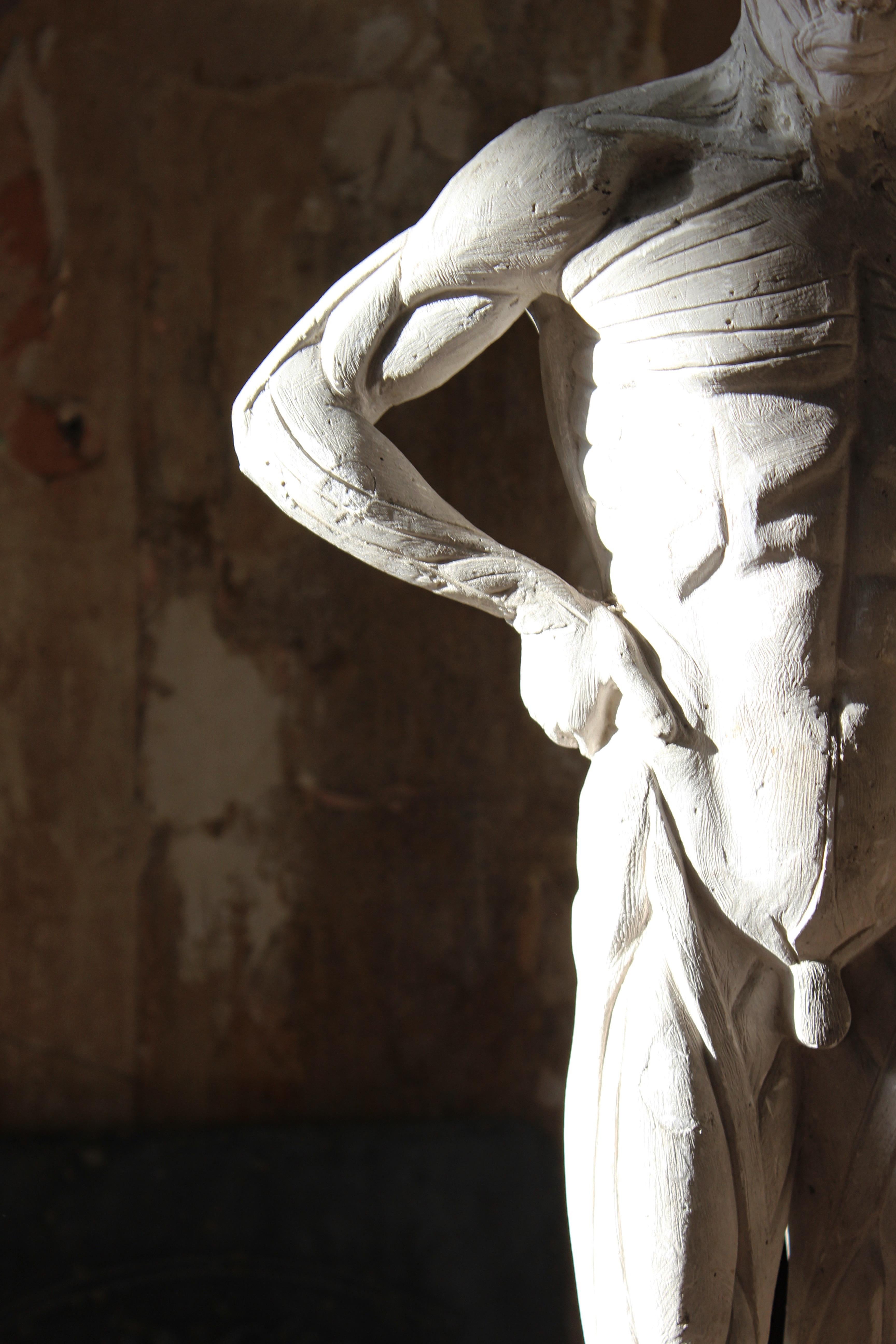 Escultura encoche de escayola de Mary Syme Boyd (1910-1997) Manera de Antoine Houdon en venta 1