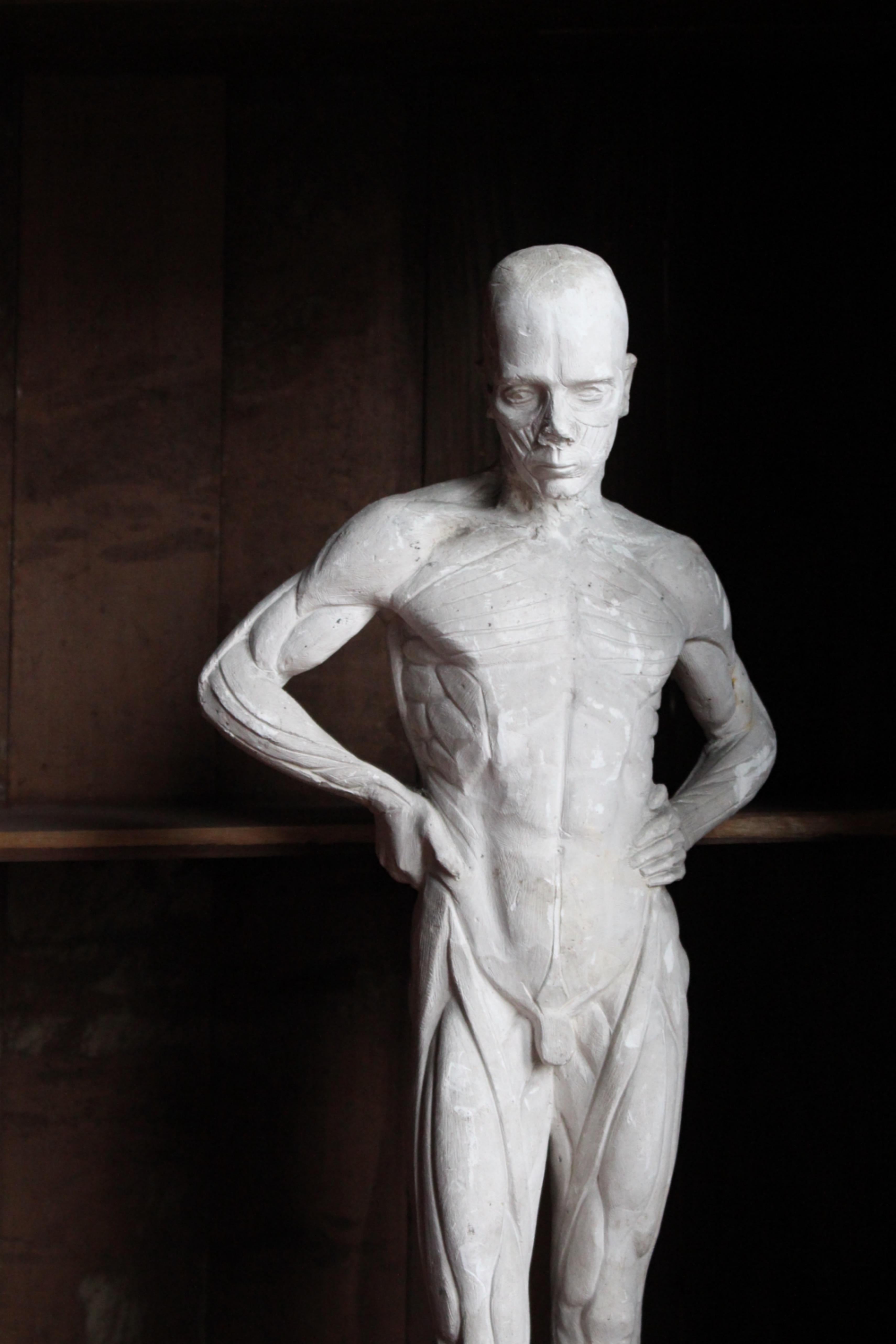 Escultura encoche de escayola de Mary Syme Boyd (1910-1997) Manera de Antoine Houdon en venta 3