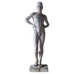 Plaster Encoche Sculpture By Mary Syme Boyd (1910-1997) Manner of Antoine Houdon
