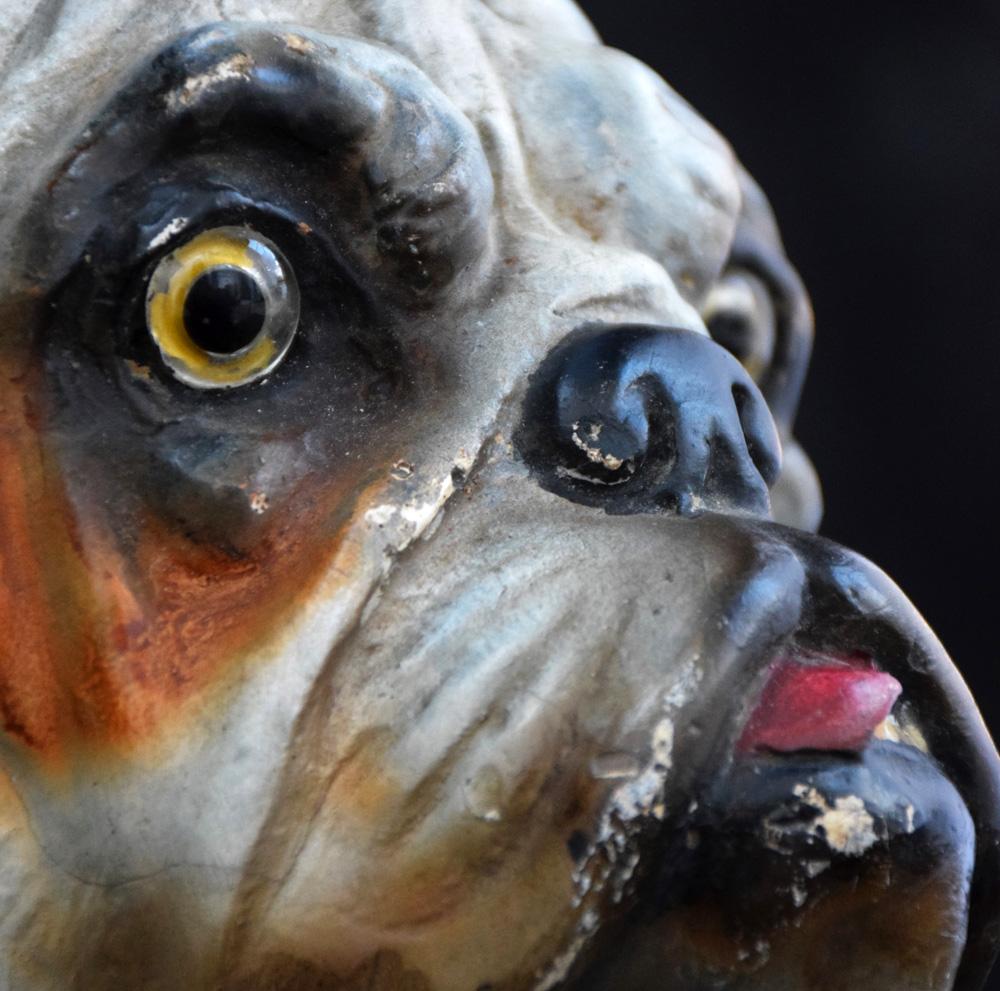 Early 20th Century Plaster English Bull Dog Statue