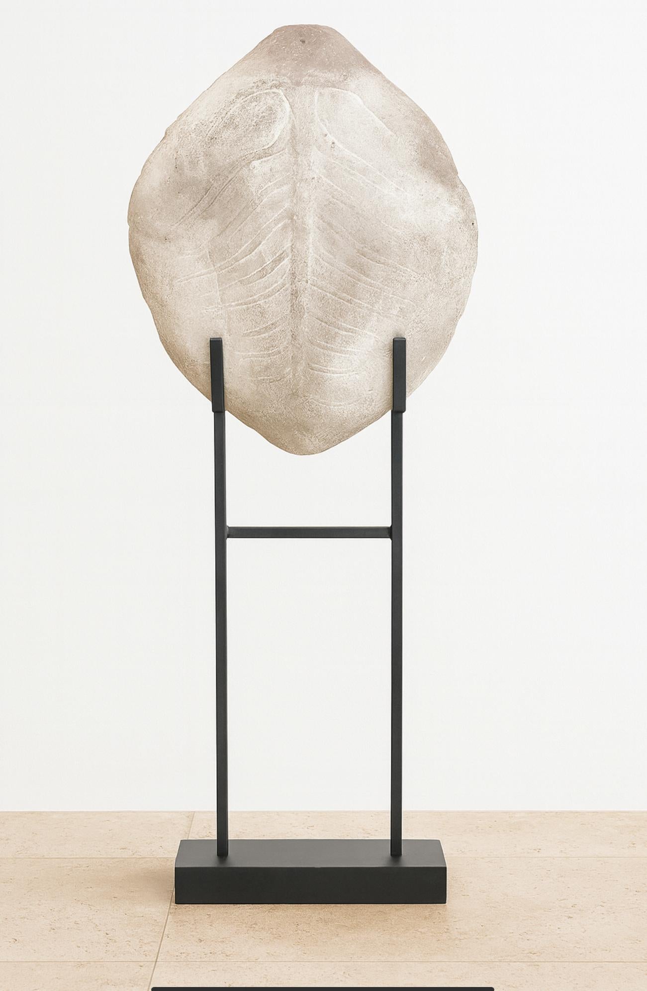 Scultura di finto guscio di tartaruga in gesso su supporto da museo personalizzato, organico moderno in vendita 2