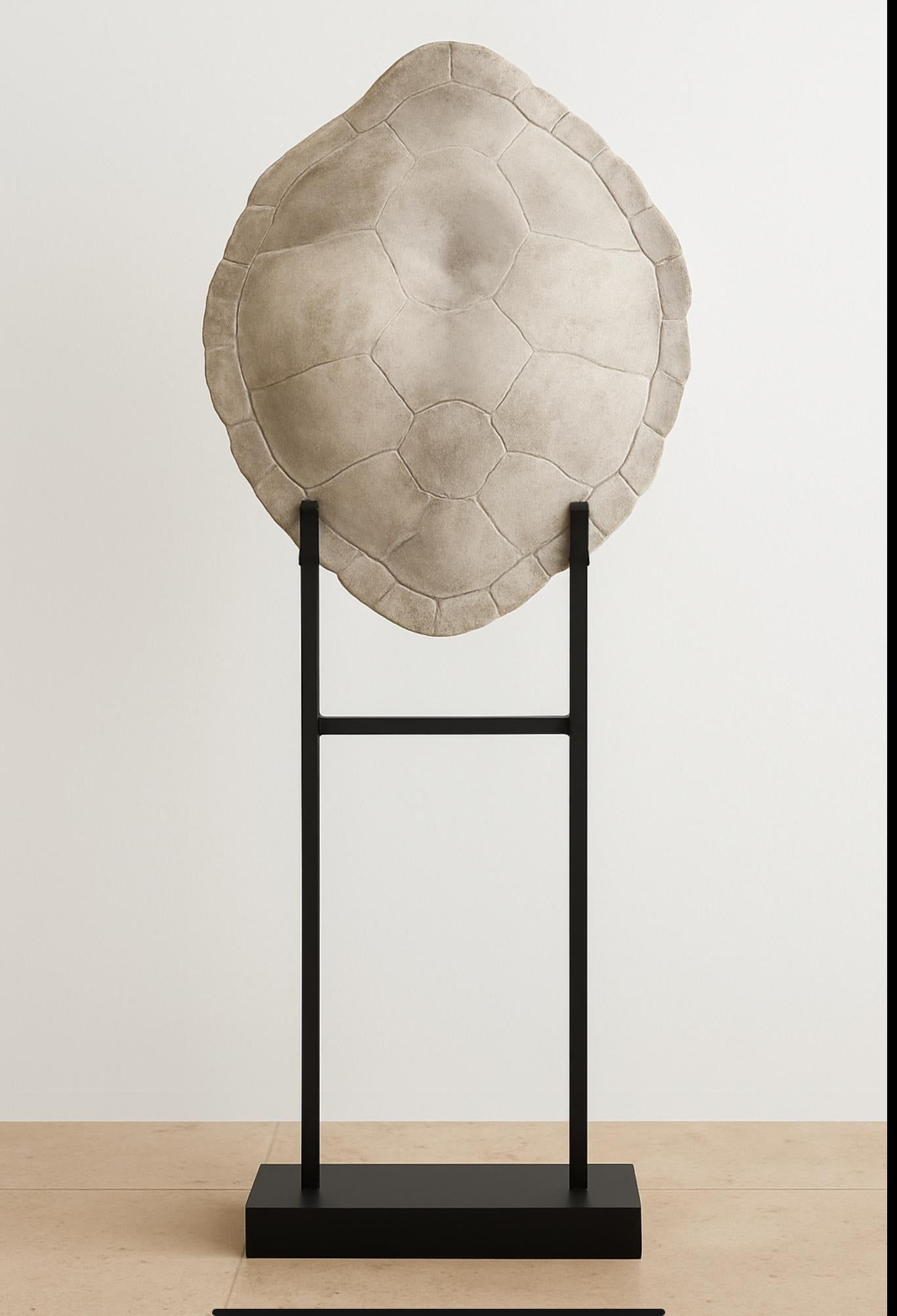 Eleganza in ogni spazio con questa scultura di finto guscio di tartaruga in gesso, montata con eleganza su un elegante supporto nero da museo. Il guscio strutturato ha una patina invecchiata, simile alla pietra, che gli conferisce una presenza