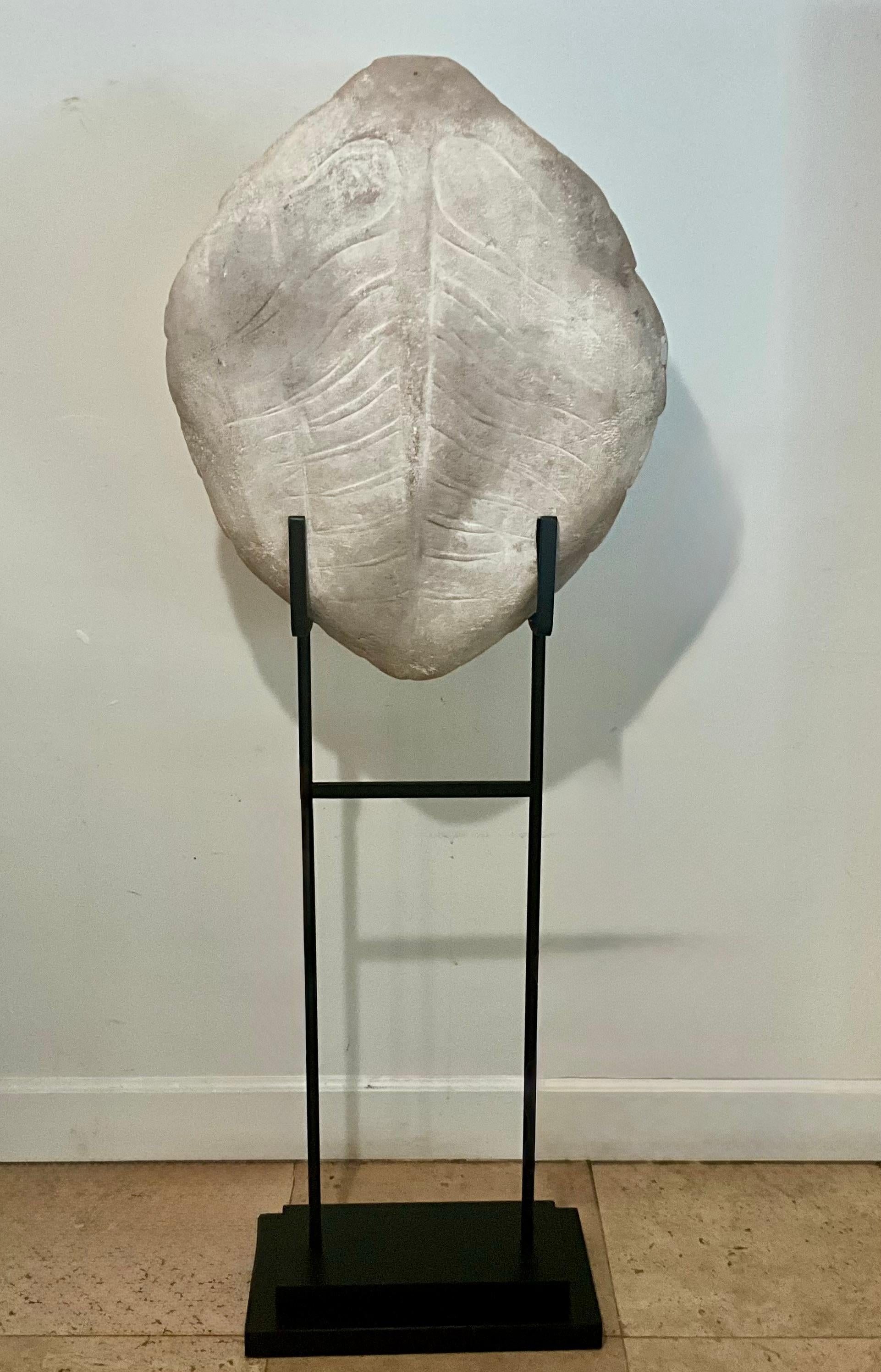 Americano Scultura di finto guscio di tartaruga in gesso su supporto da museo personalizzato, organico moderno in vendita