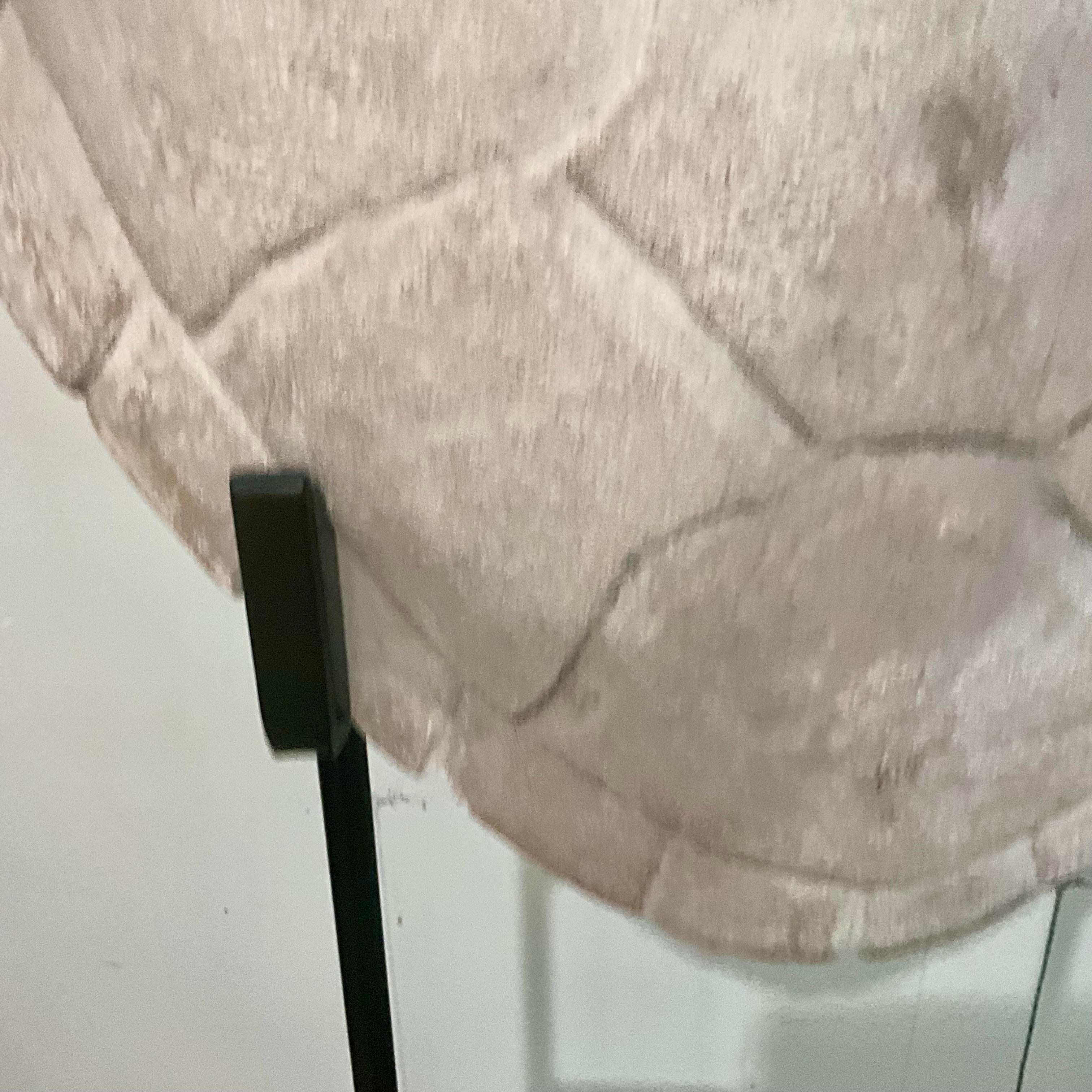 Scultura di finto guscio di tartaruga in gesso su supporto da museo personalizzato, organico moderno In condizioni buone in vendita a West Palm Beach, US