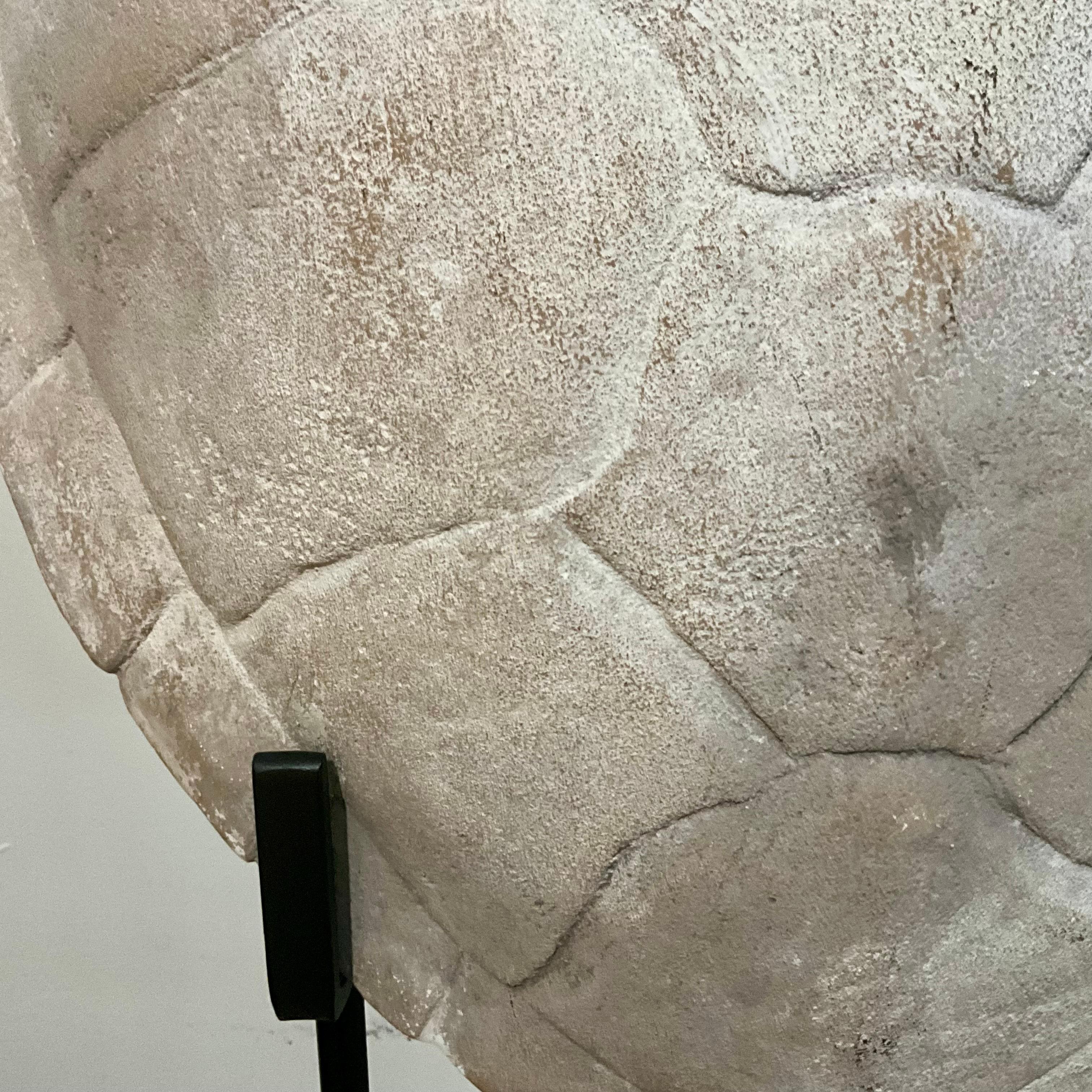 Fine XX secolo Scultura di finto guscio di tartaruga in gesso su supporto da museo personalizzato, organico moderno in vendita