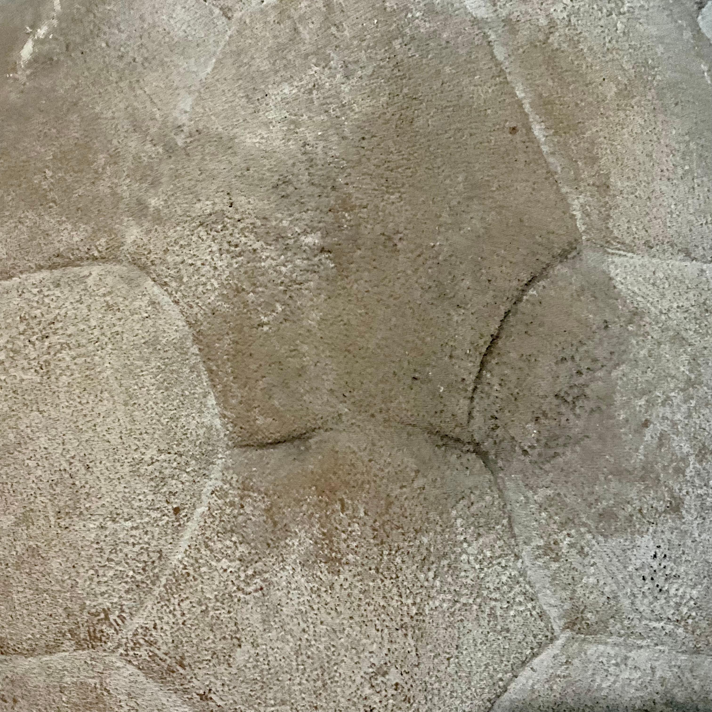 Intonaco Scultura di finto guscio di tartaruga in gesso su supporto da museo personalizzato, organico moderno in vendita