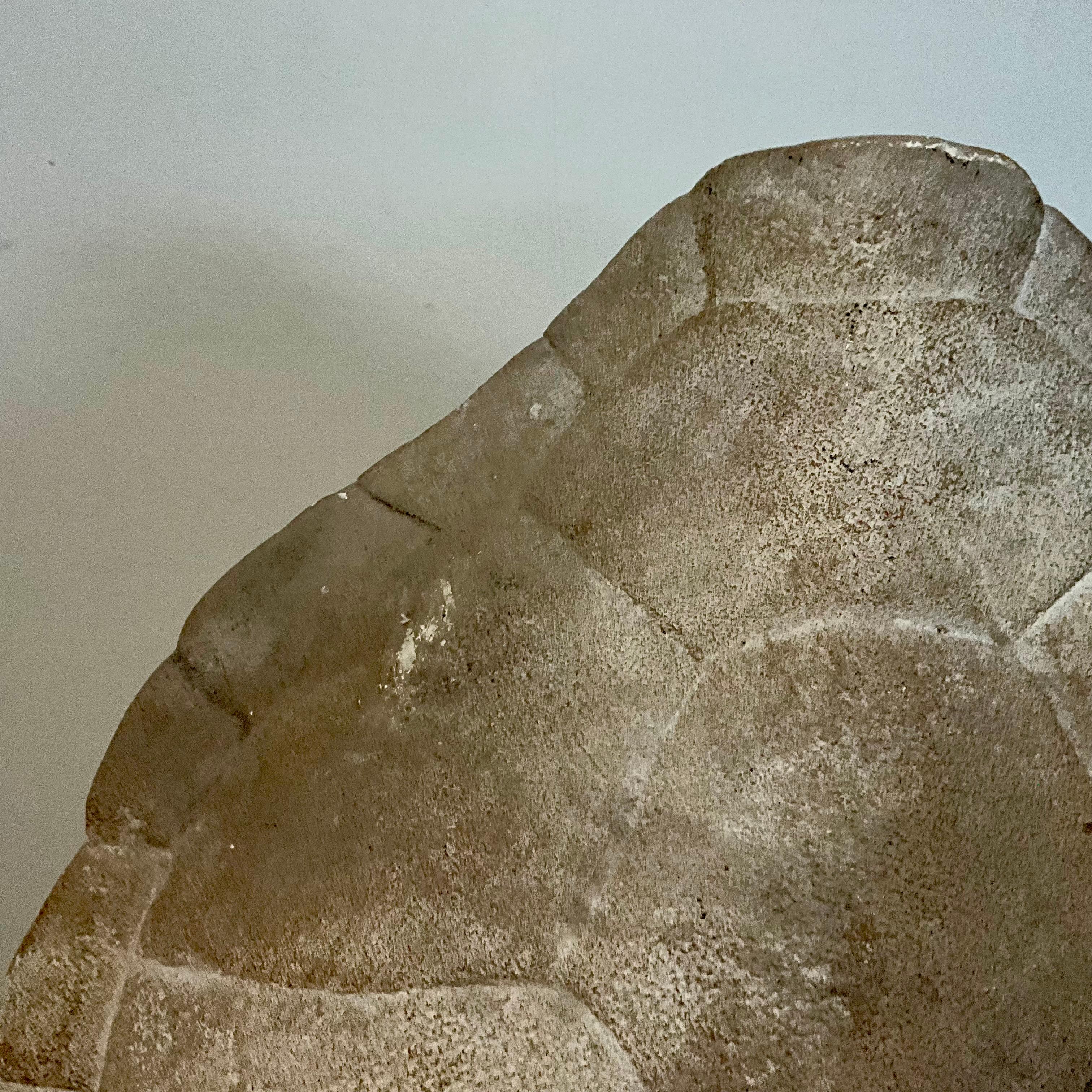 Scultura di finto guscio di tartaruga in gesso su supporto da museo personalizzato, organico moderno in vendita 1