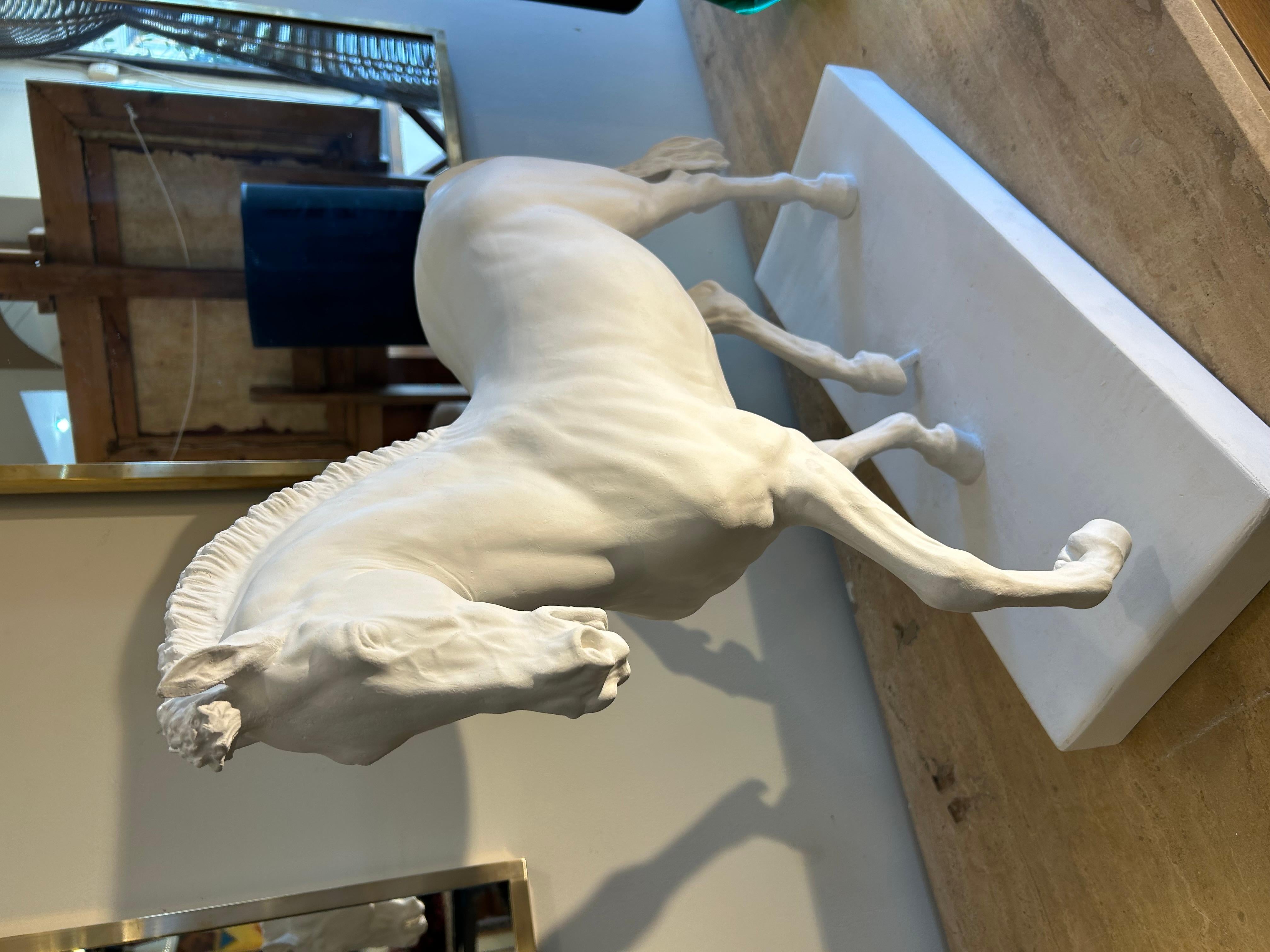 Cheval en plâtre, style académique. en vente 6