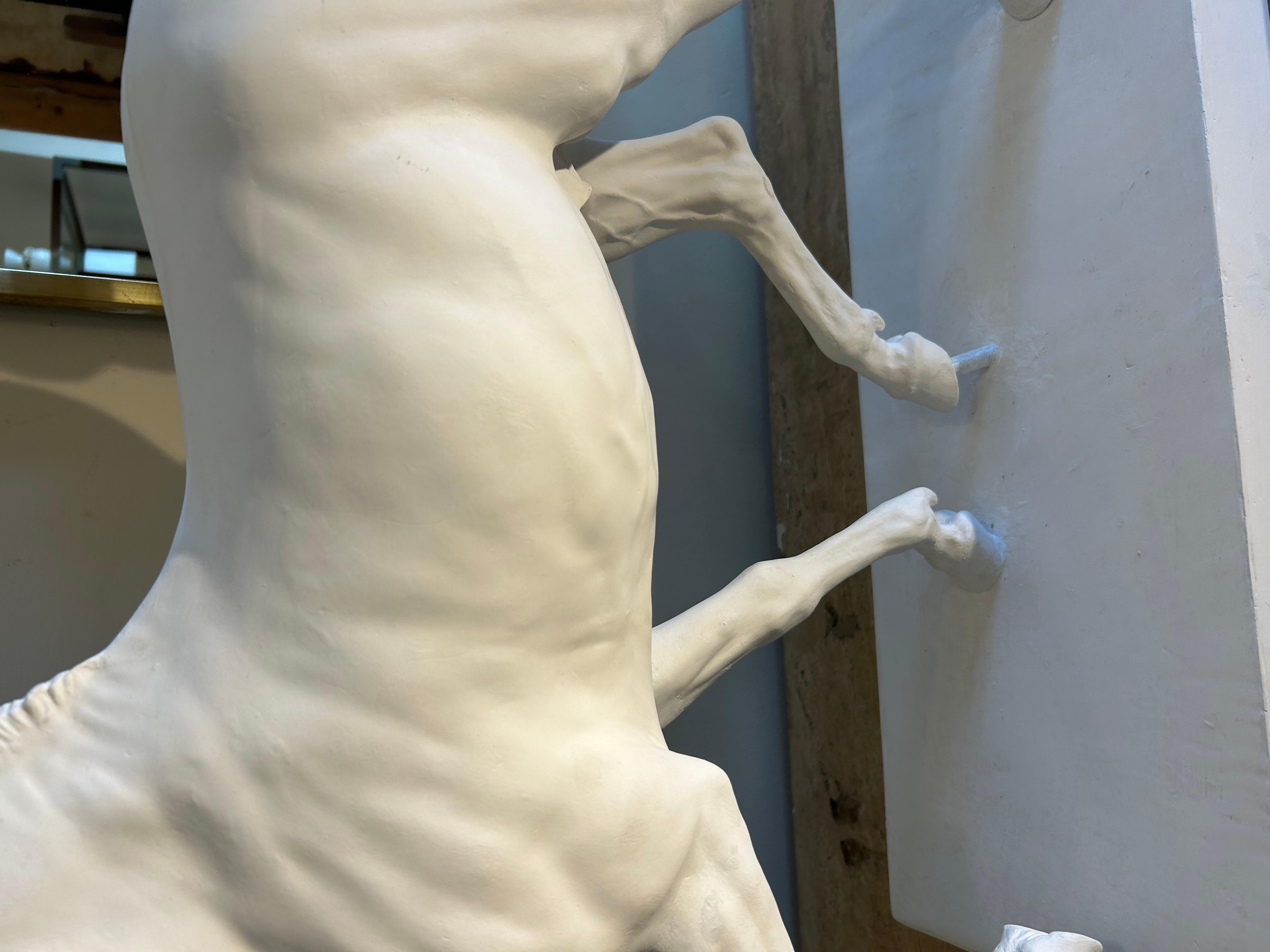 Cheval en plâtre, style académique. en vente 8