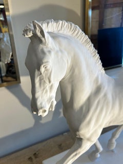 Plaster horse, academic style.