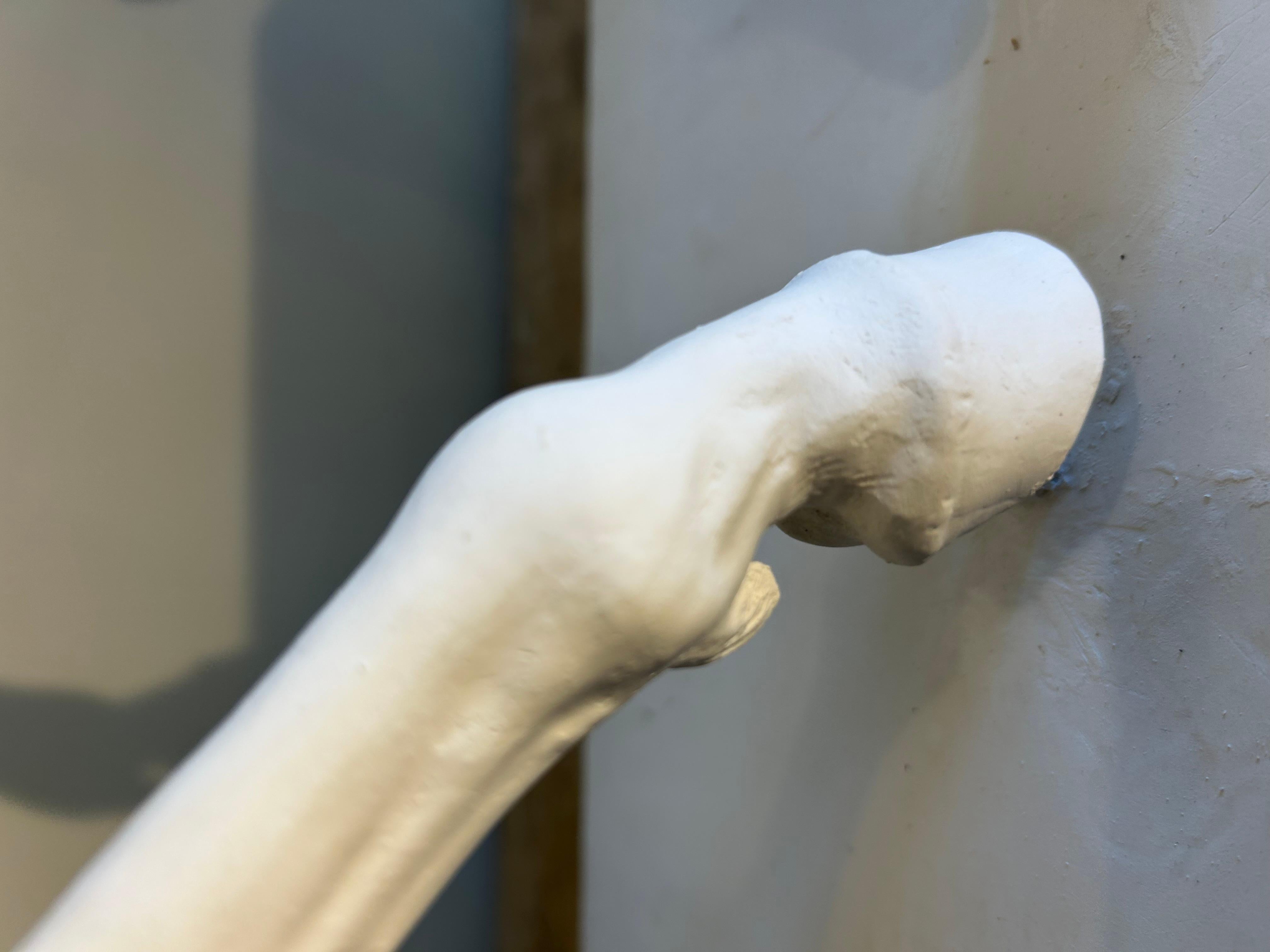 Beaux-Arts Cheval en plâtre, style académique. en vente