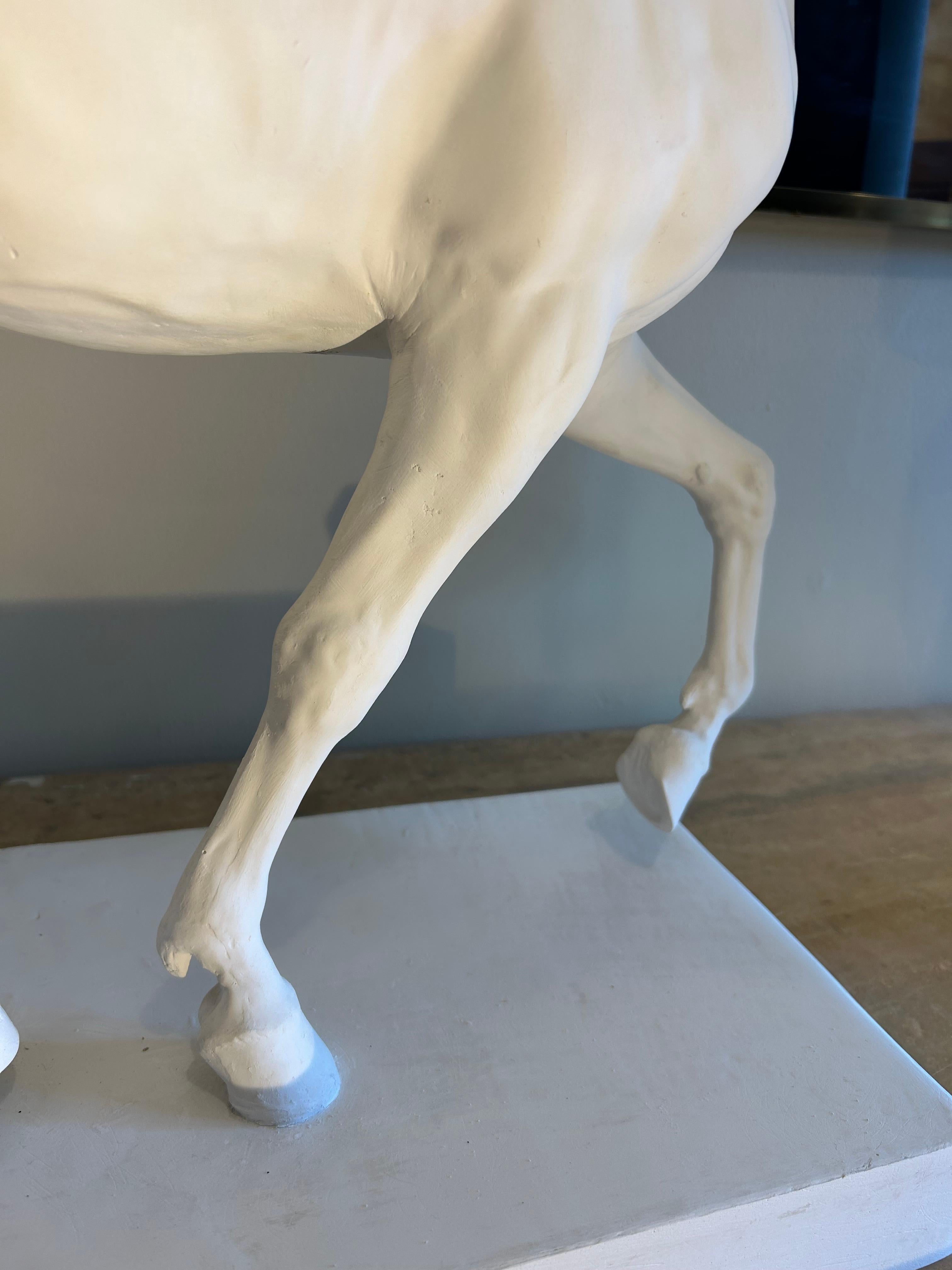 italien Cheval en plâtre, style académique. en vente