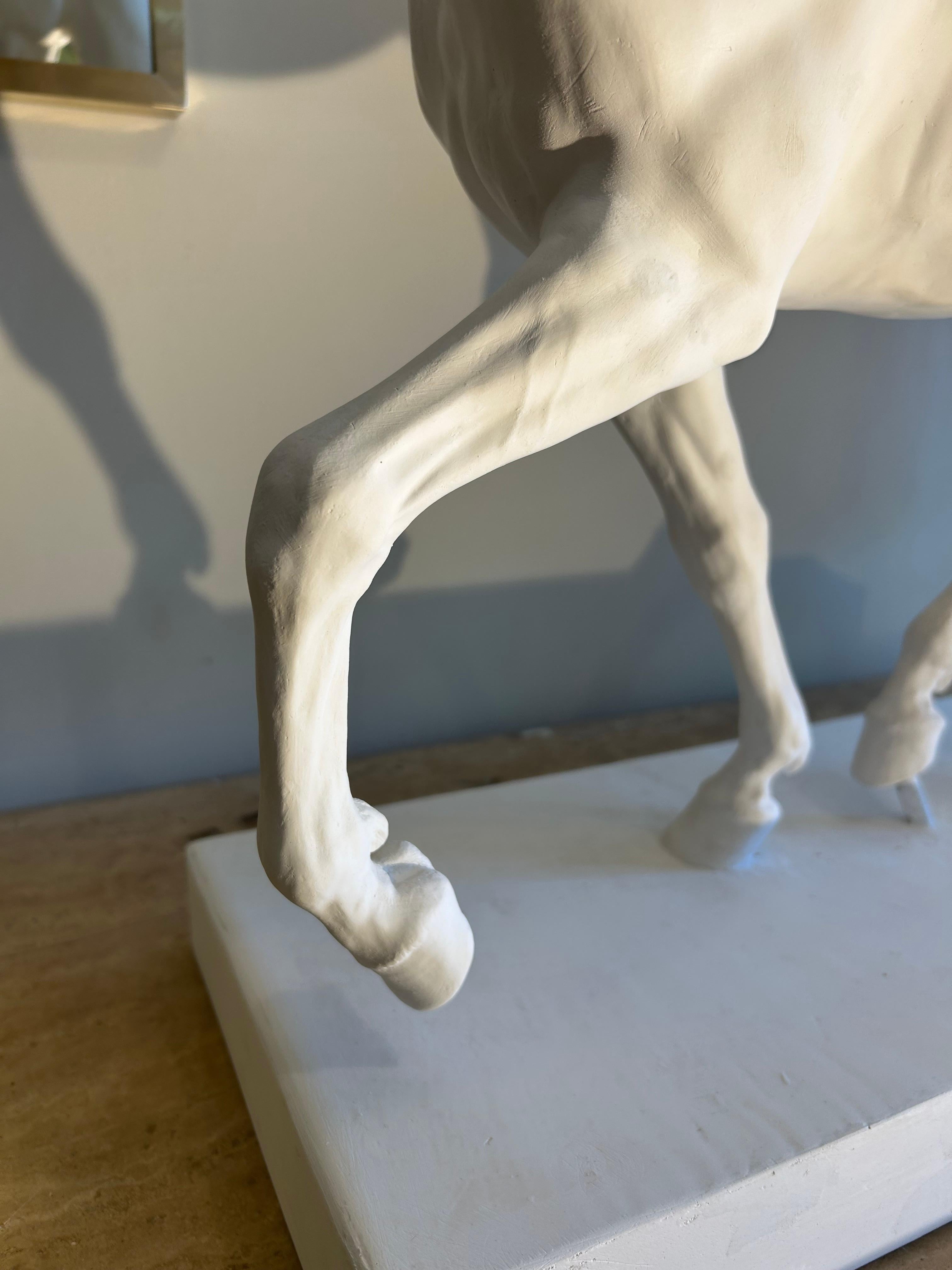 Cheval en plâtre, style académique. en vente 1
