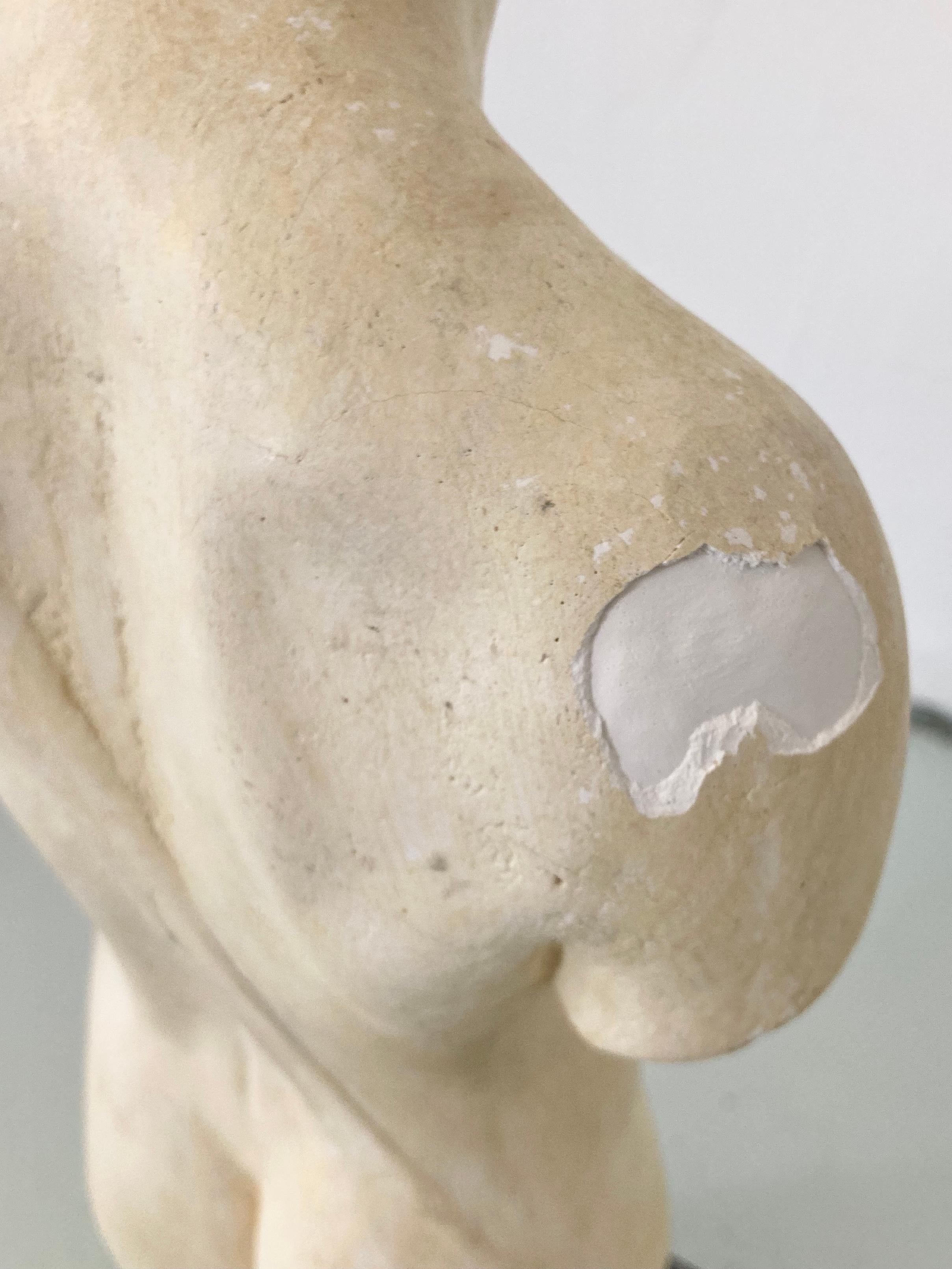 Mid-20th Century Plaster Male Body Statue on a Base For Sale