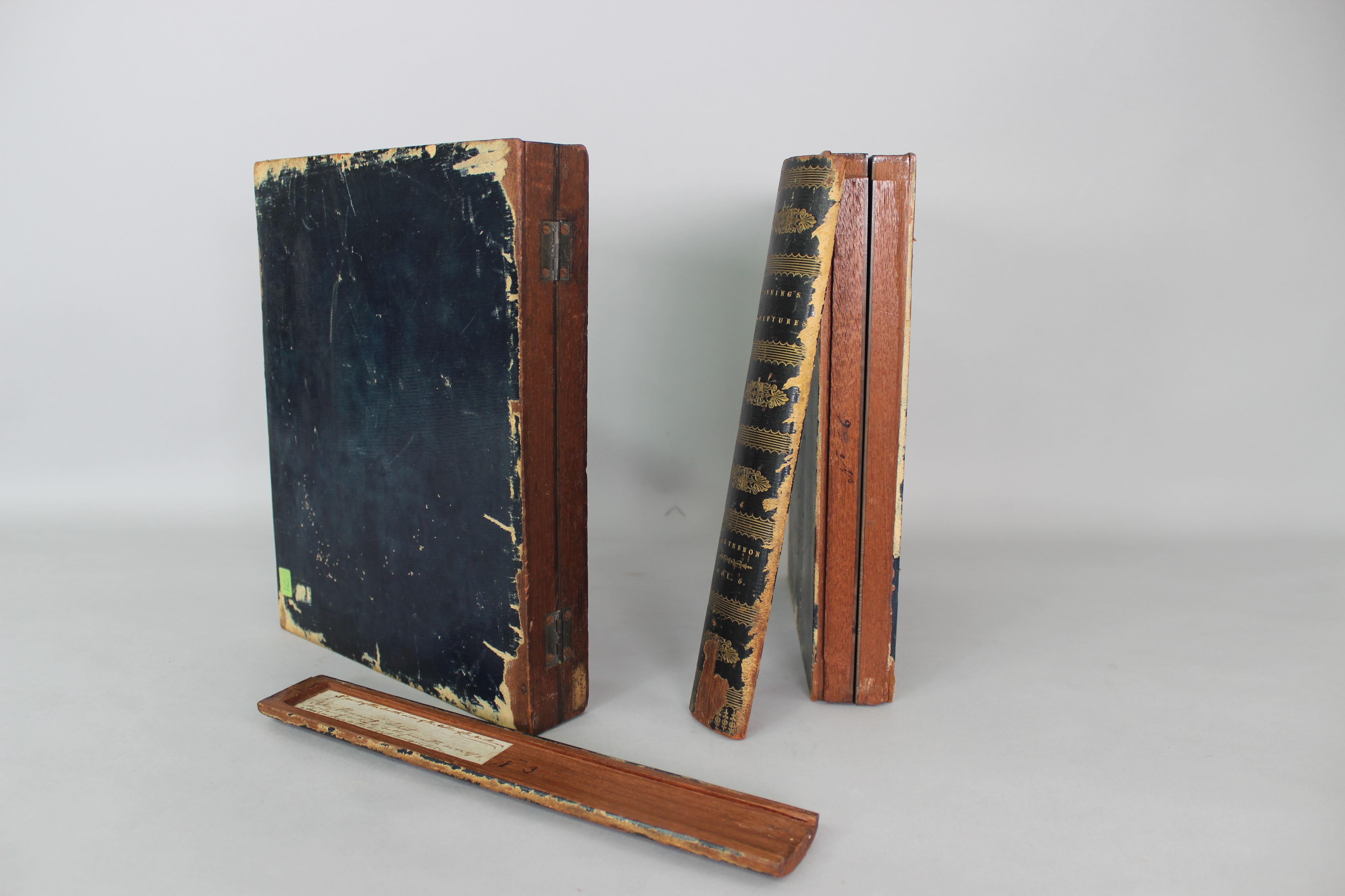 Plaster miniatures of the Parthenon frieze in a box resembling books, Grand Tour In Good Condition For Sale In Madrid, España