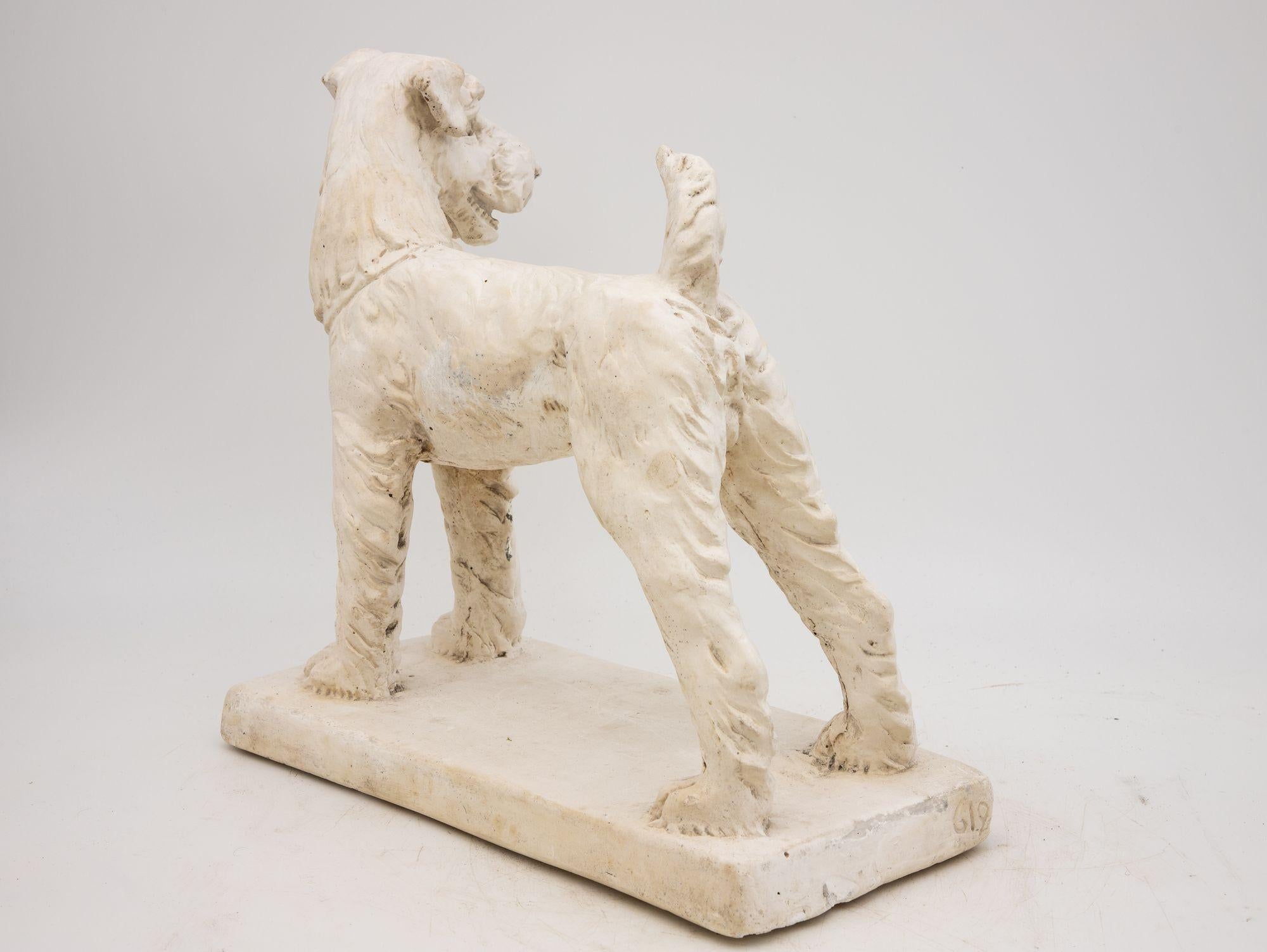 20th Century Plaster Model of A Terrier Dog, 20th century For Sale