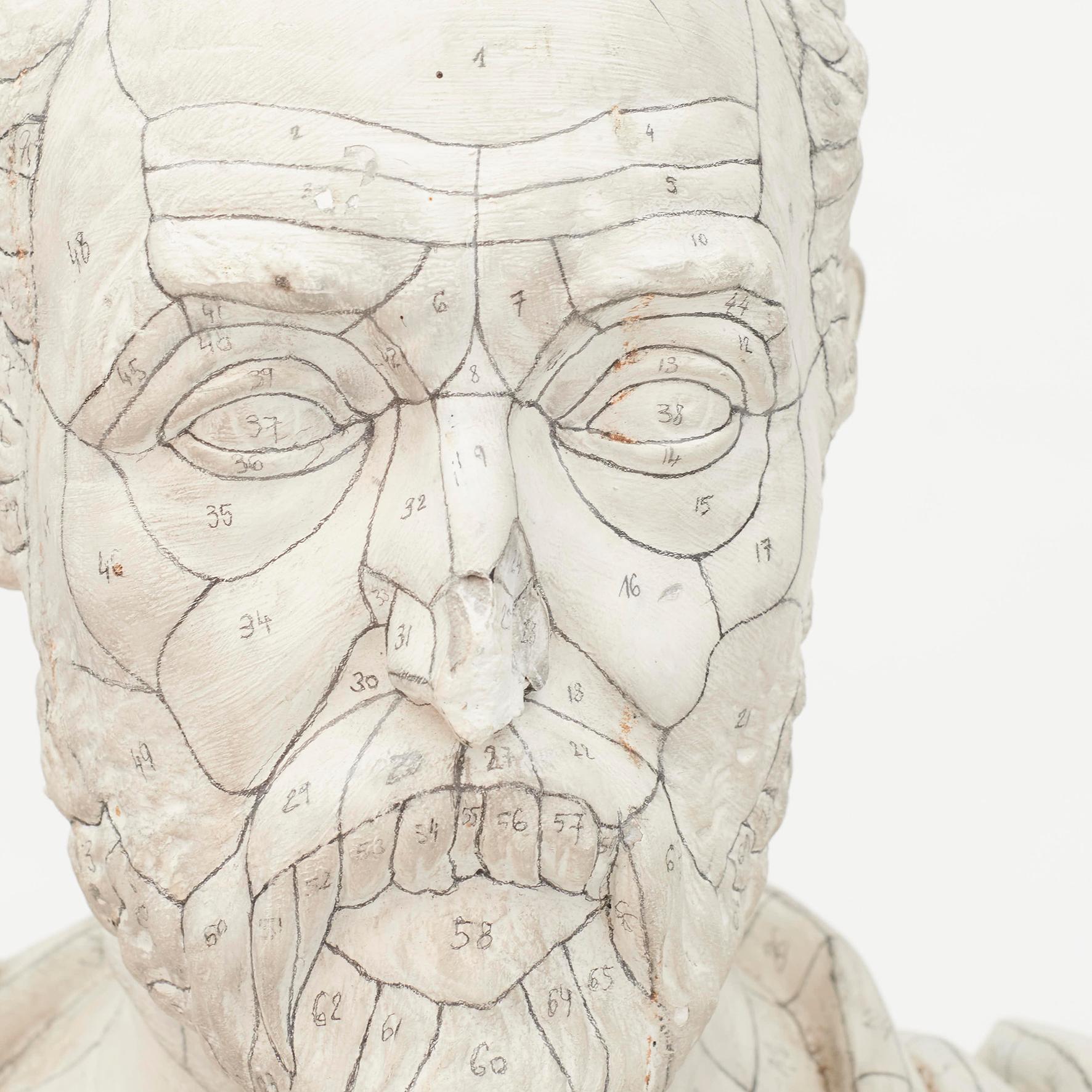Français Modèle de buste d'homme en plâtre avec marquages:: France:: 19ème siècle en vente