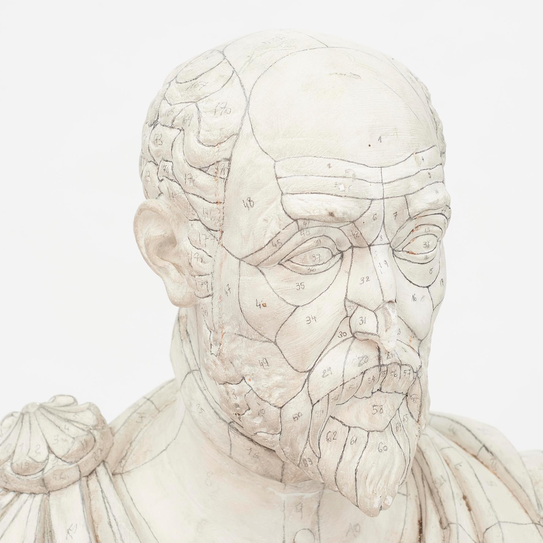 Modèle de buste d'homme en plâtre avec marquages:: France:: 19ème siècle Bon état - En vente à Kastrup, DK