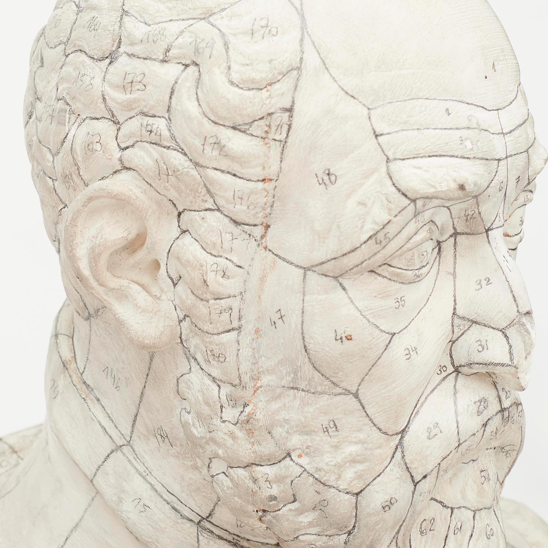 Plaster Model of Male Bust with Markings, France, 19th Century In Good Condition For Sale In Kastrup, DK