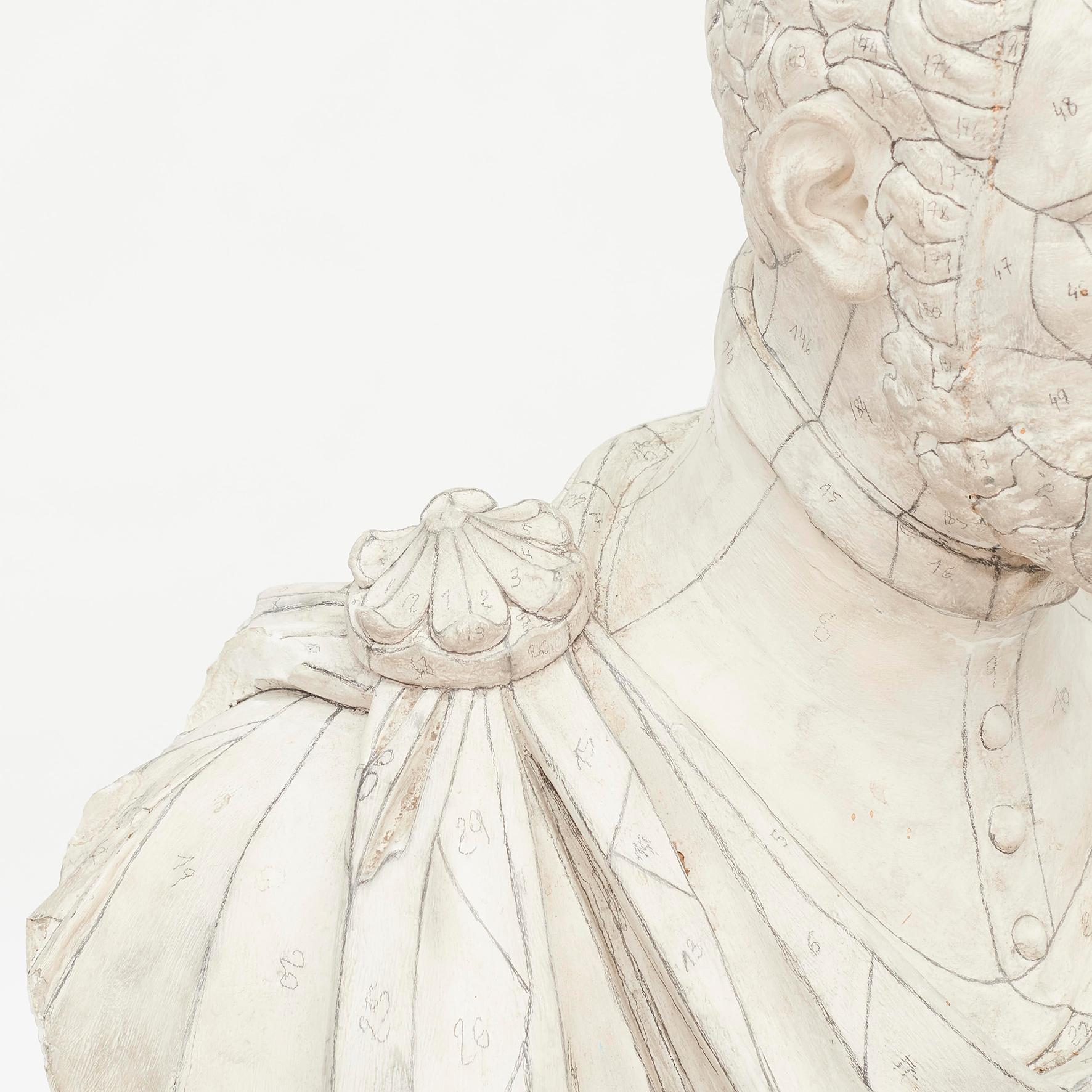 Plâtre Modèle de buste d'homme en plâtre avec marquages:: France:: 19ème siècle en vente
