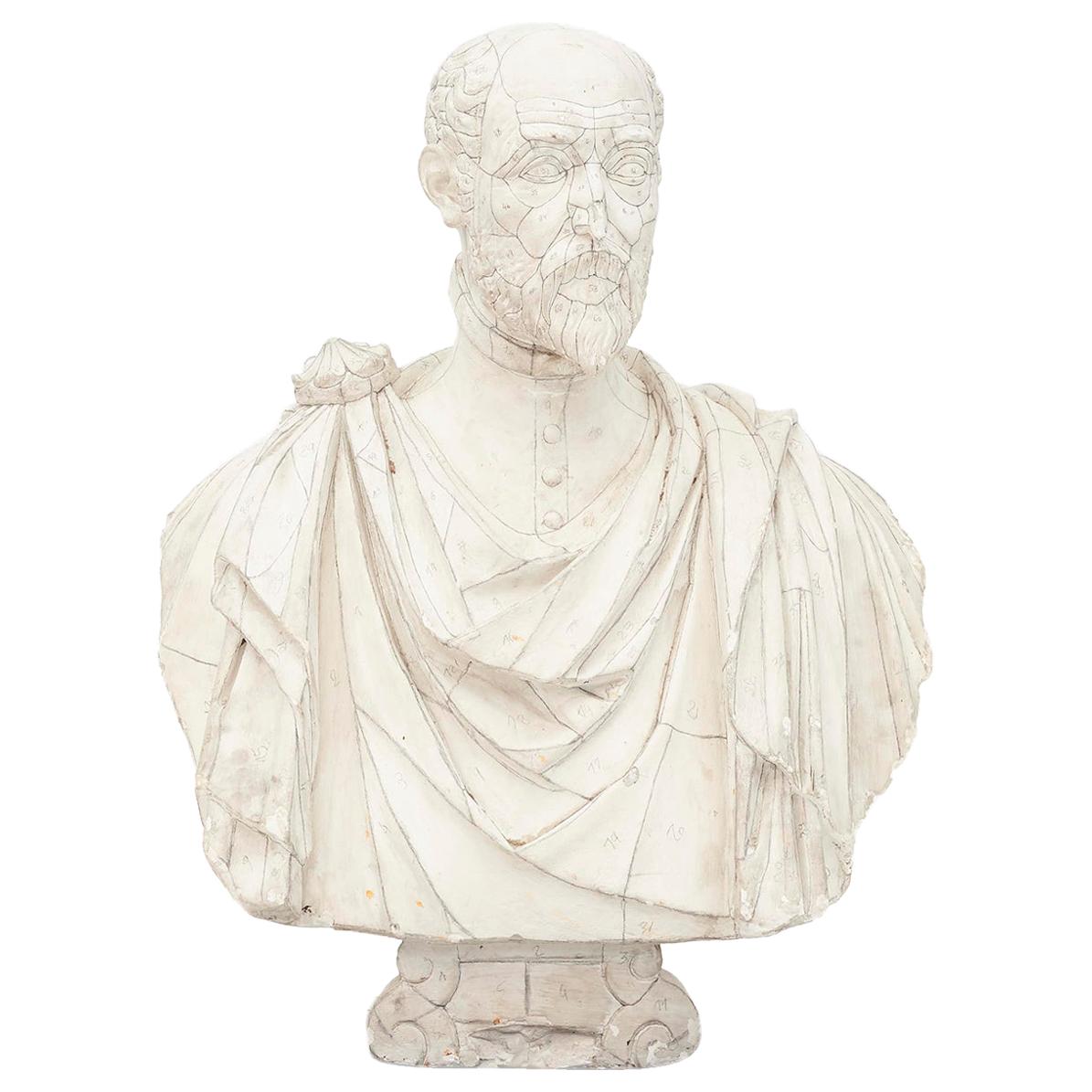 Plaster Model of Male Bust with Markings, France, 19th Century