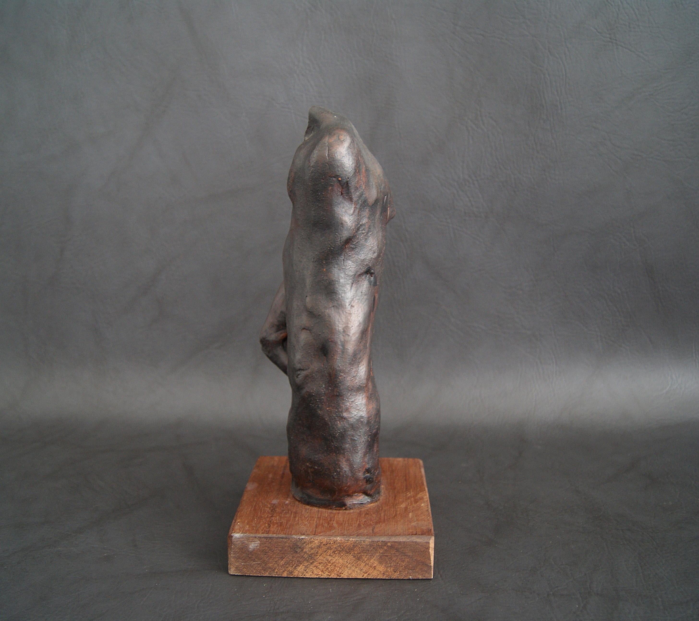 Organic Modern Plaster Sculpture Bronze Patinated Abstract Art For Sale