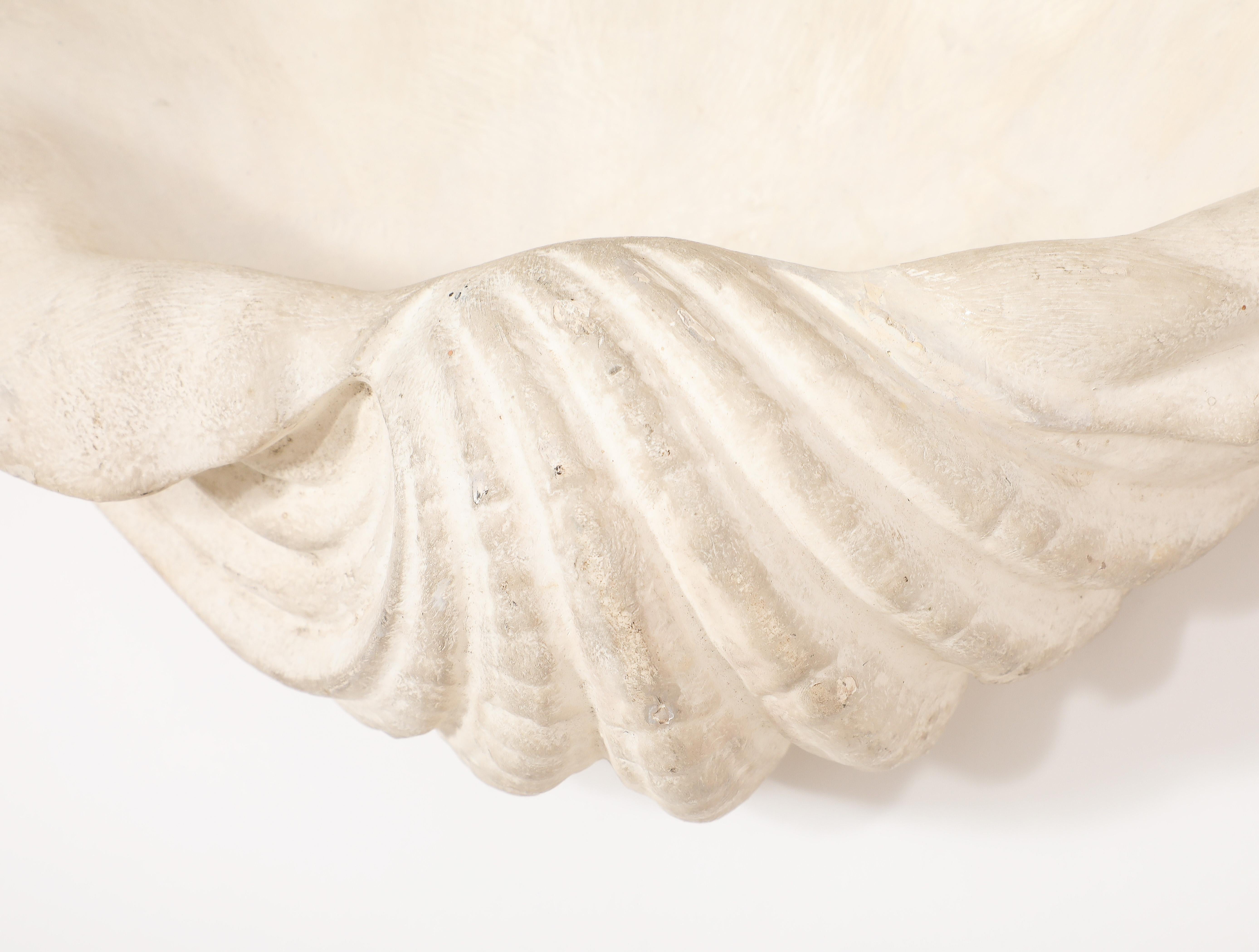 Plaster Shell Sconce, France 1950's For Sale 7