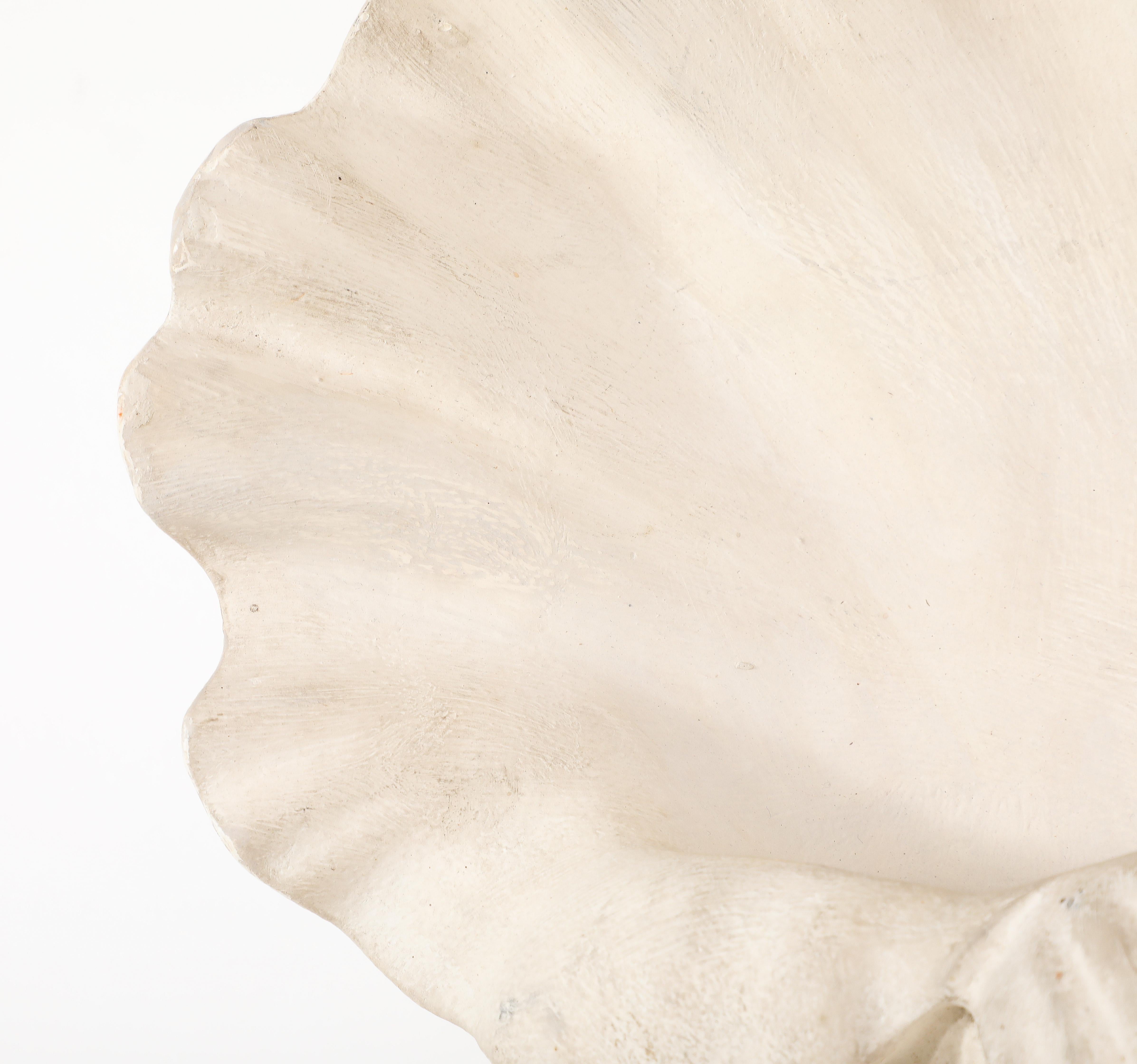 Plaster Shell Sconce, France 1950's For Sale 8