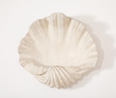 Plaster Shell Sconce, France 1950's