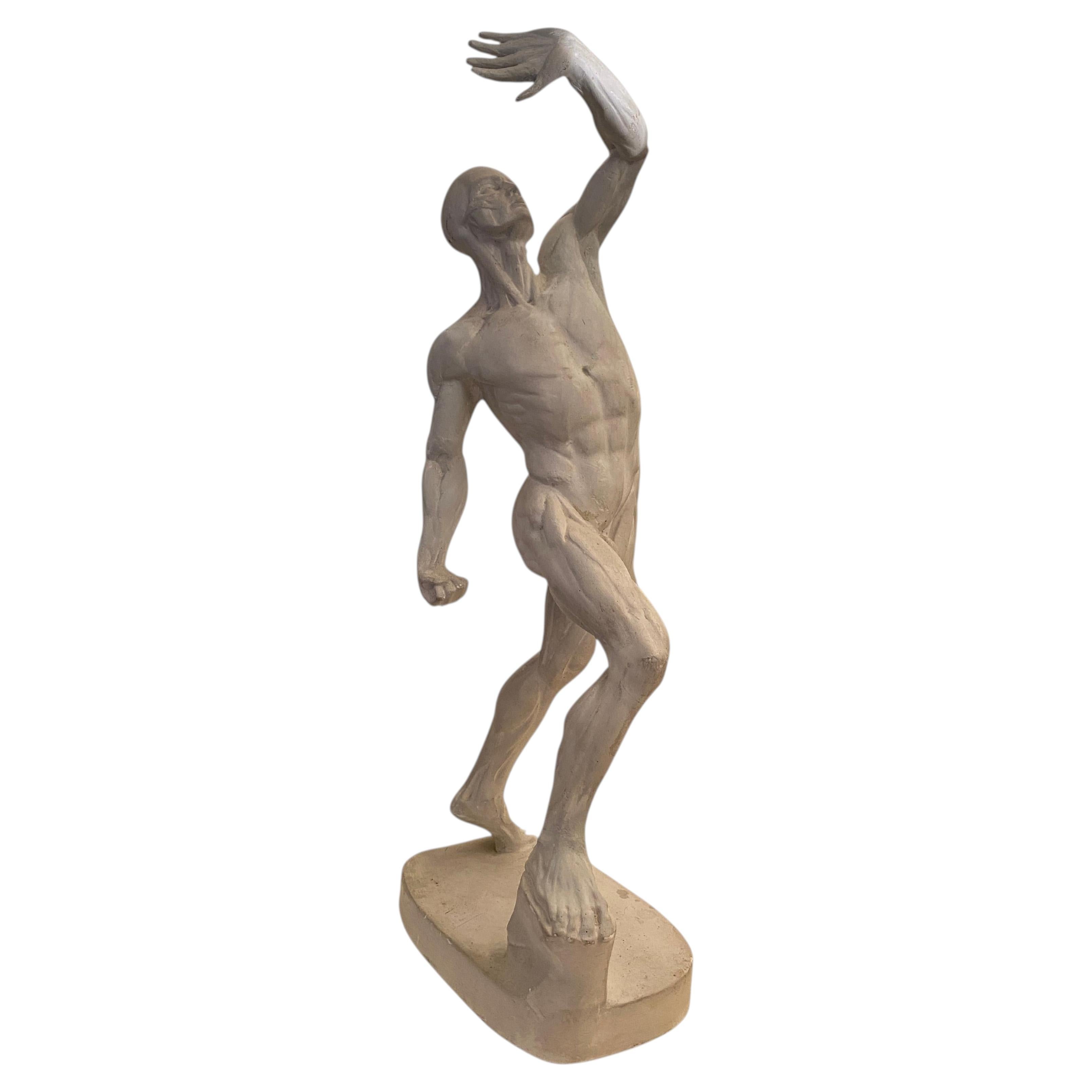 Plaster Skinned Anatomical Figure, circa 1900s, Ellegible Signature For Sale