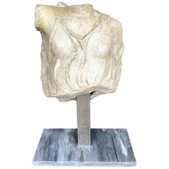 Plaster Torso After the Antique