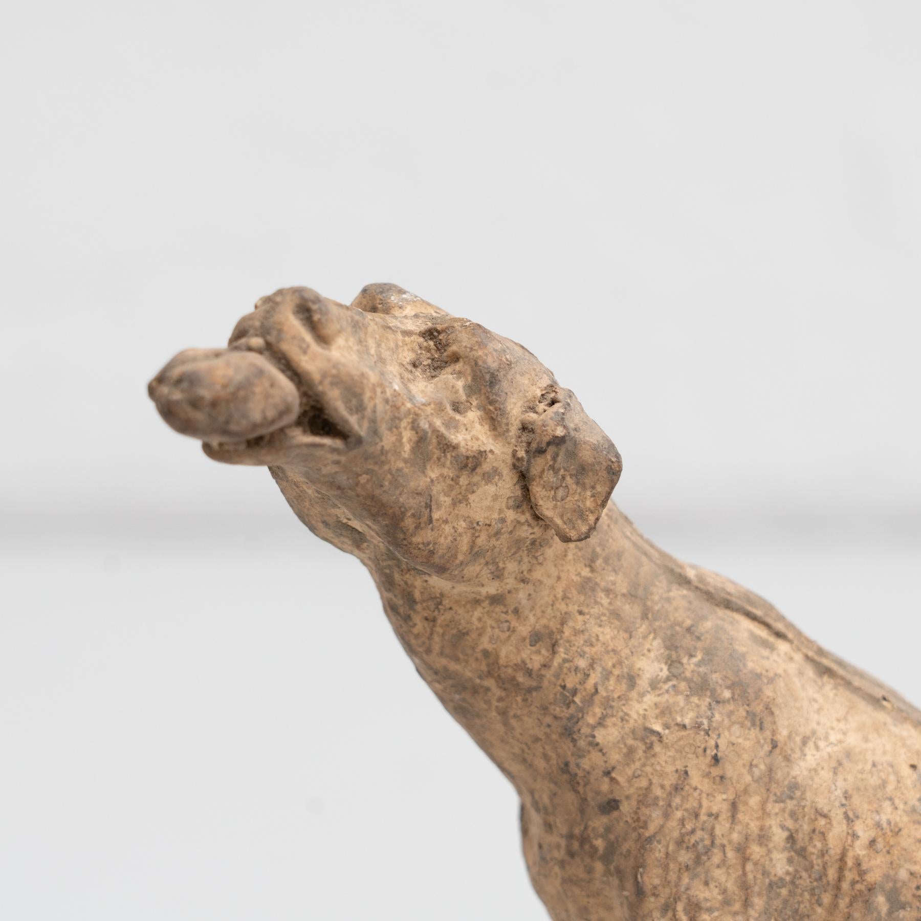 Plaster Traditional Dog Figure, circa 1950 In Good Condition For Sale In Barcelona, Barcelona