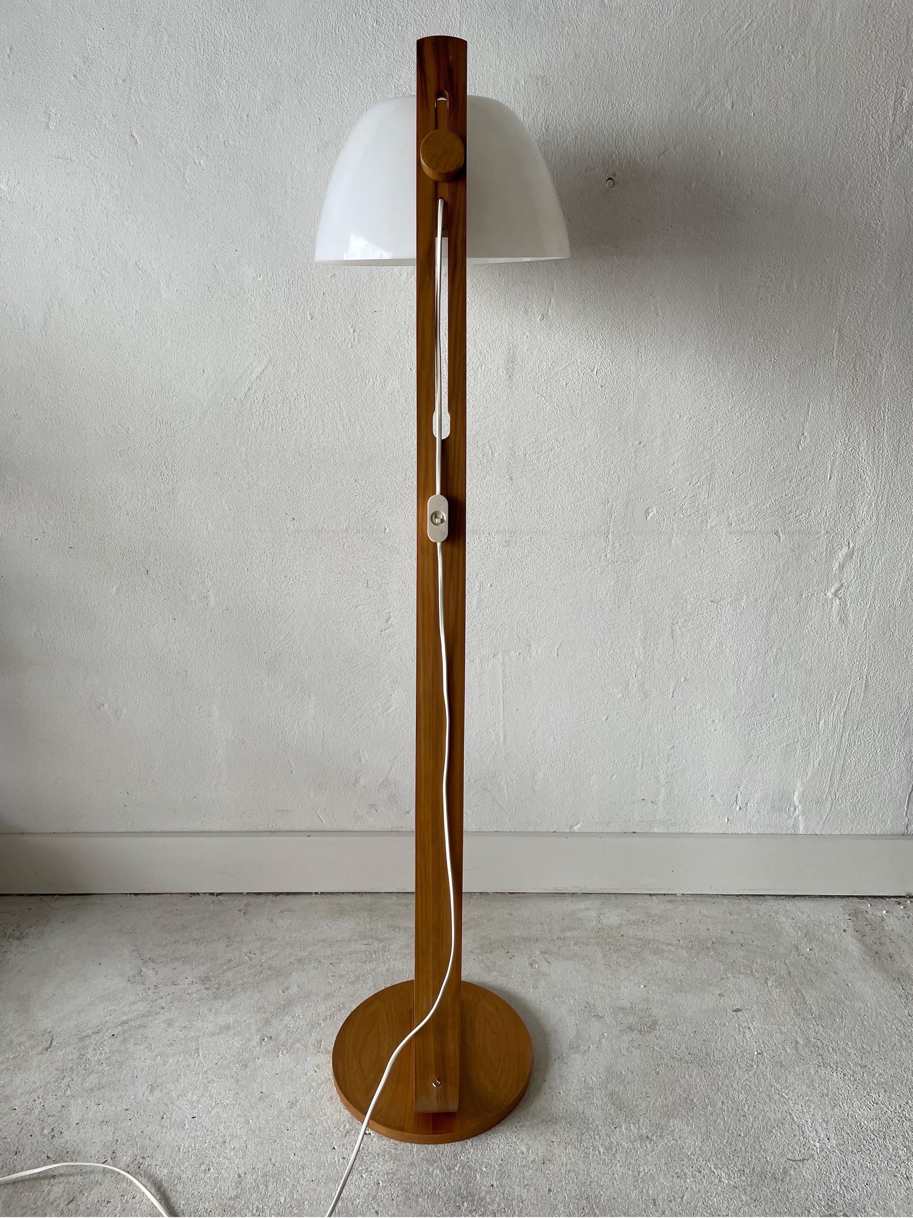 Swiss Plastic and Bent Wood Body Space Age Floor Lamp by Temde, 1970s, Switzerland