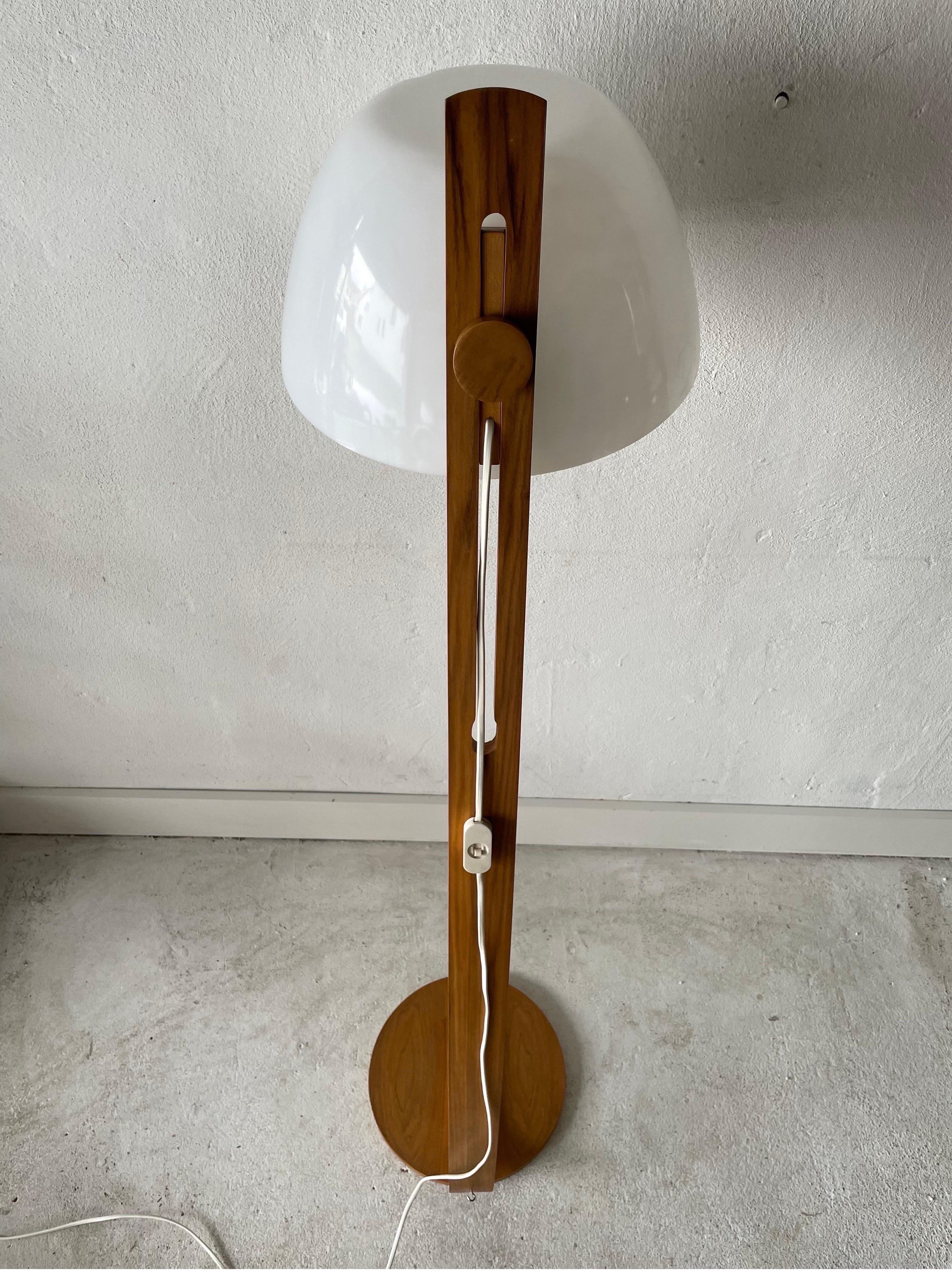 Late 20th Century Plastic and Bent Wood Body Space Age Floor Lamp by Temde, 1970s, Switzerland