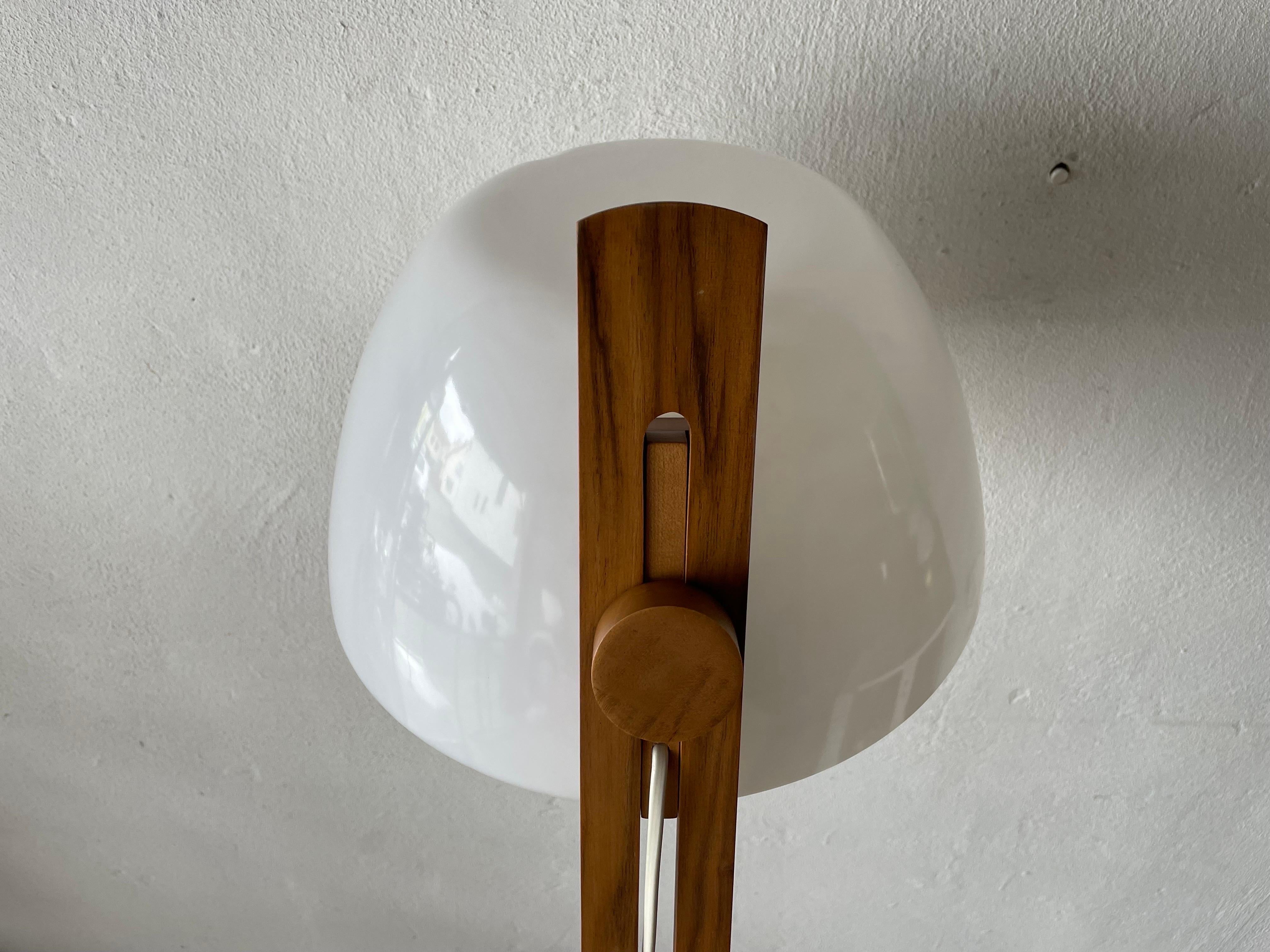 Plexiglass Plastic and Bent Wood Body Space Age Floor Lamp by Temde, 1970s, Switzerland