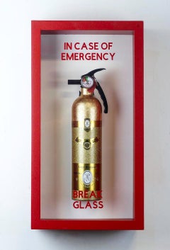 "In Case Of Emergency - Cristal Champagner-Midi-Feuerschutzmittel"