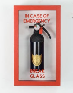 In case of Emergency-  Mini Dom Perignon Fire Extinguisher"