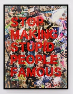 "Stop Making Stupid People Famous" -  stenciled acrylic spray paint (framed)