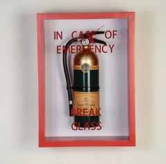 "In Case of Emergency Break Glass" Compact  Edition Fire Extinguisher 