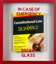 In Case of Emergency Break Glass - Constitutional Law for Dummies