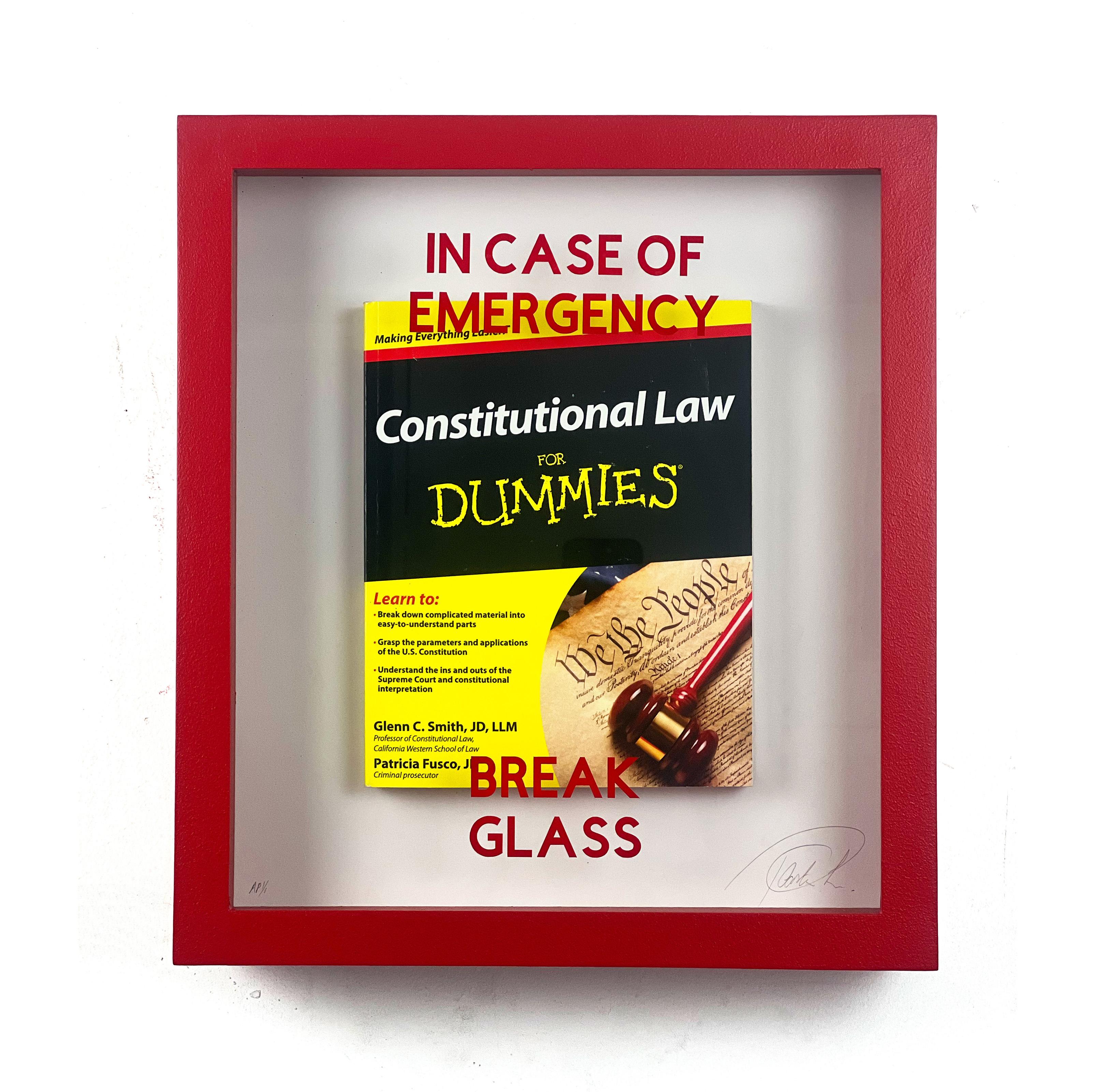In Case of Emergency Break Glass - Constitutional Law for Dummies - Pop Art Sculpture by Plastic Jesus