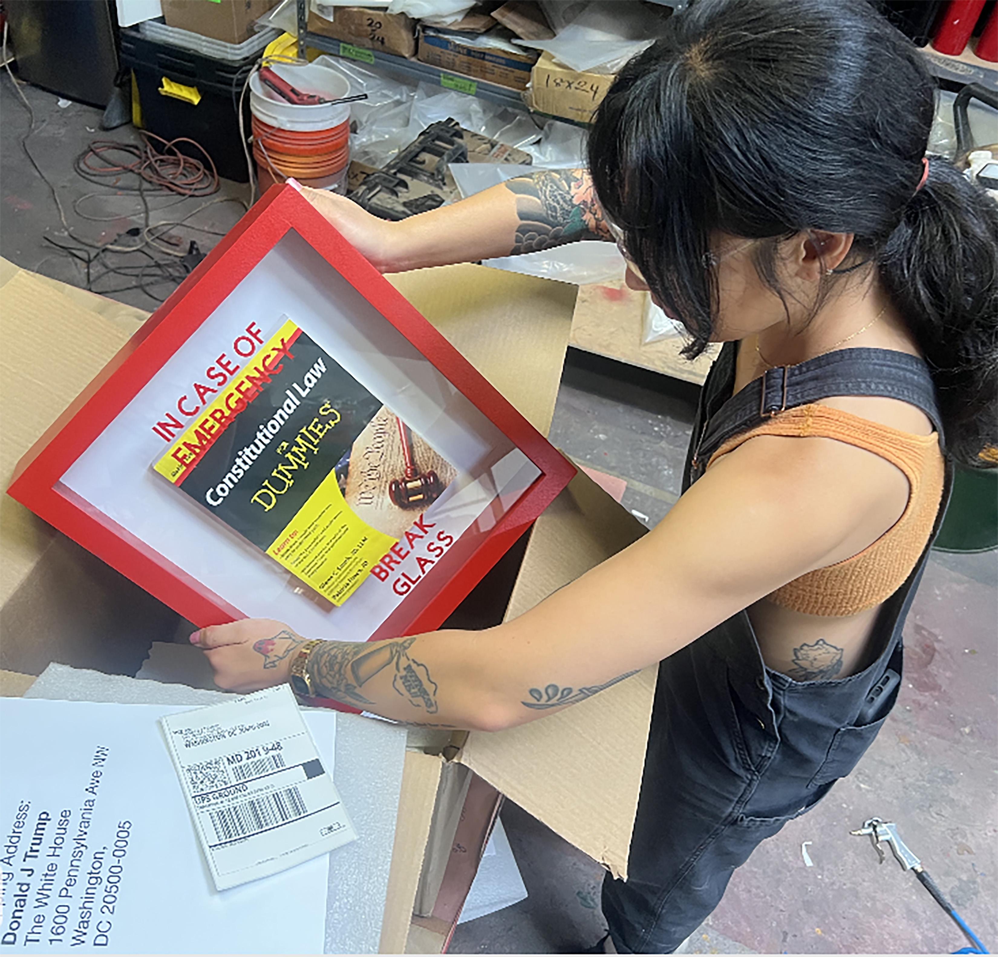 In Case of Emergency Break Glass - Constitutional Law for Dummies For Sale 1