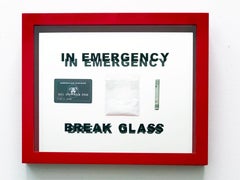 "In Case of Emergency Break Glass"  Numbered Edition of 40 12" x18" x2"