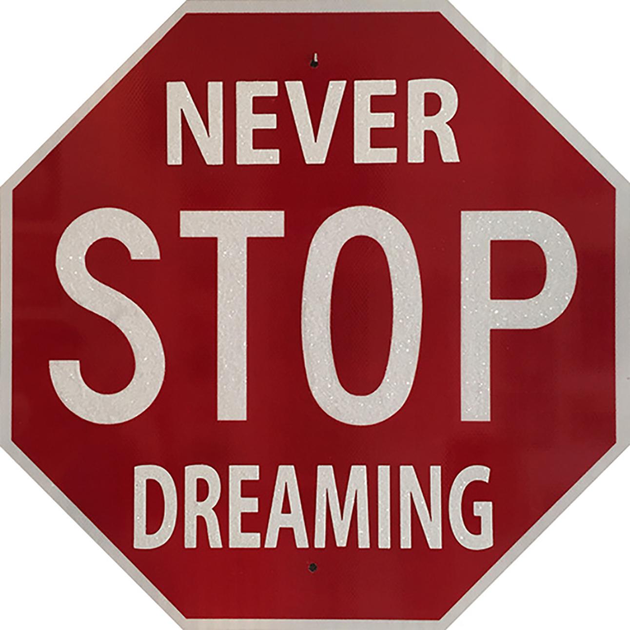 "Never Stop Dreaming" – Acrylic and Crystal on Metal - Sculpture by Plastic Jesus