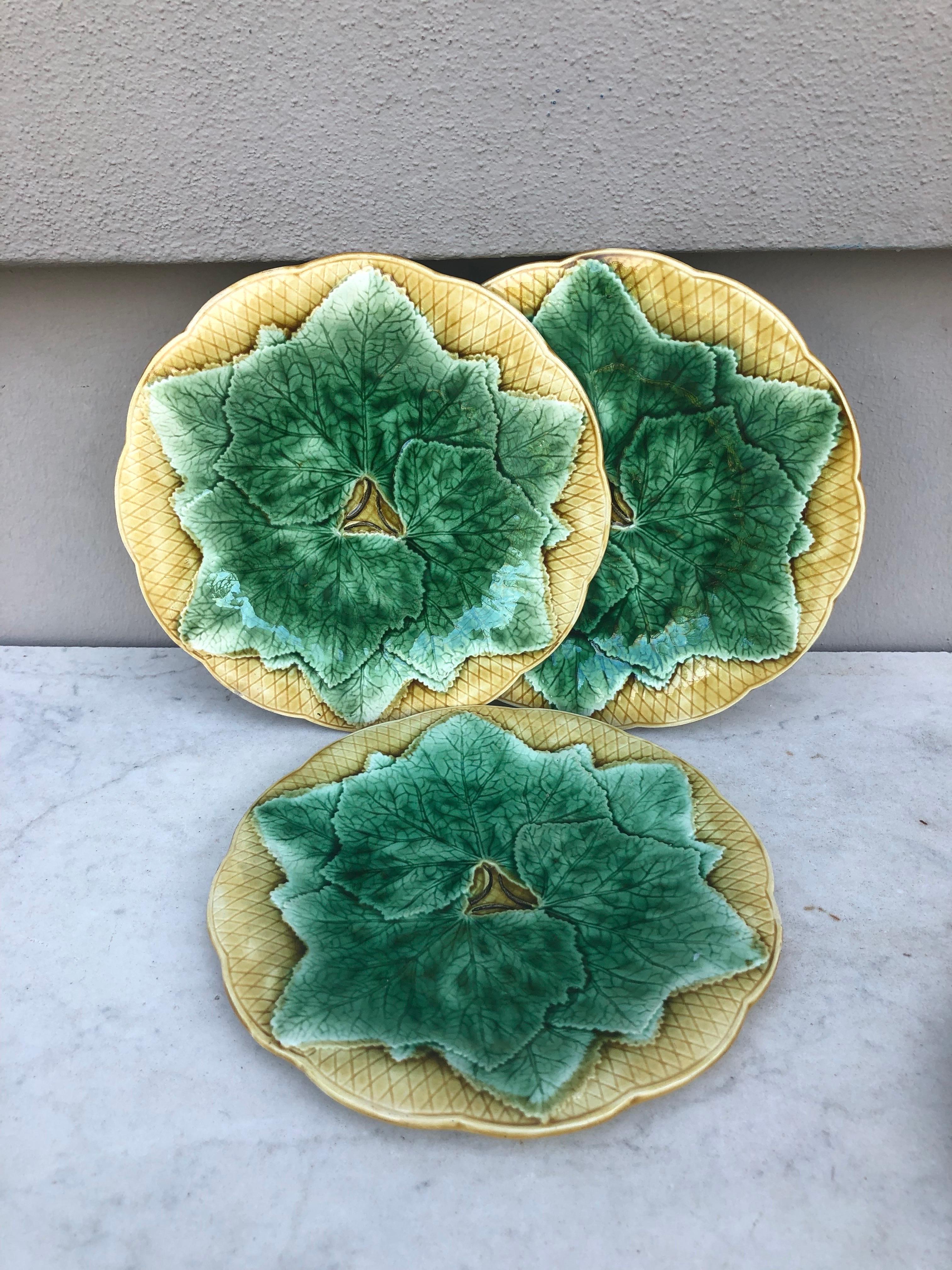 French Majolica leaves plate Gien, circa 1880.
Green leaves on a yellow background basketweave.