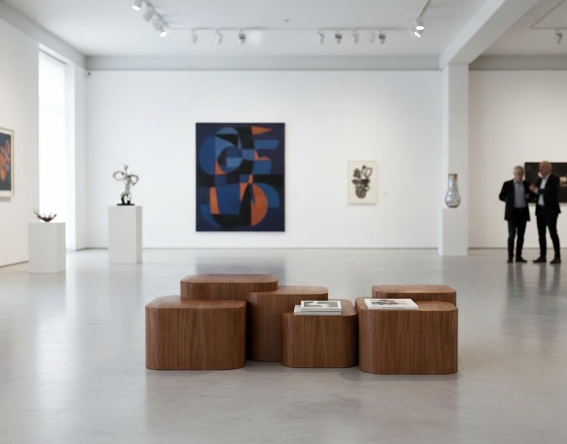 Platea Coffee Table In Matte Walnut By Sidani Design For Sale 2