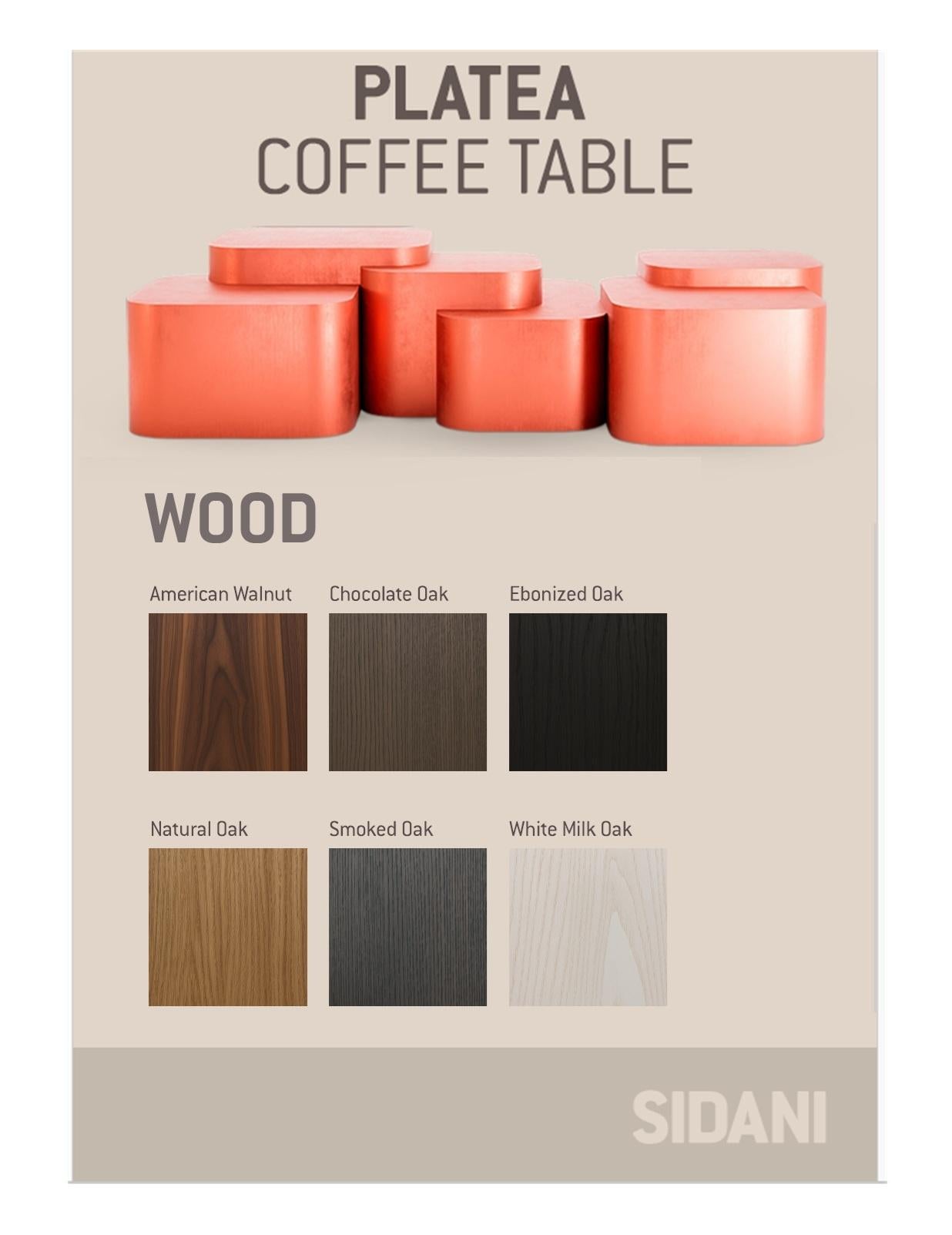 Platea Coffee Table In Matte Walnut By Sidani Design For Sale 3