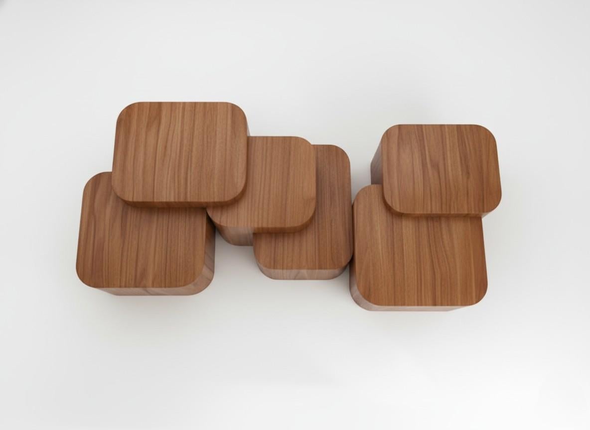 Portuguese Platea Coffee Table In Matte Walnut By Sidani Design For Sale