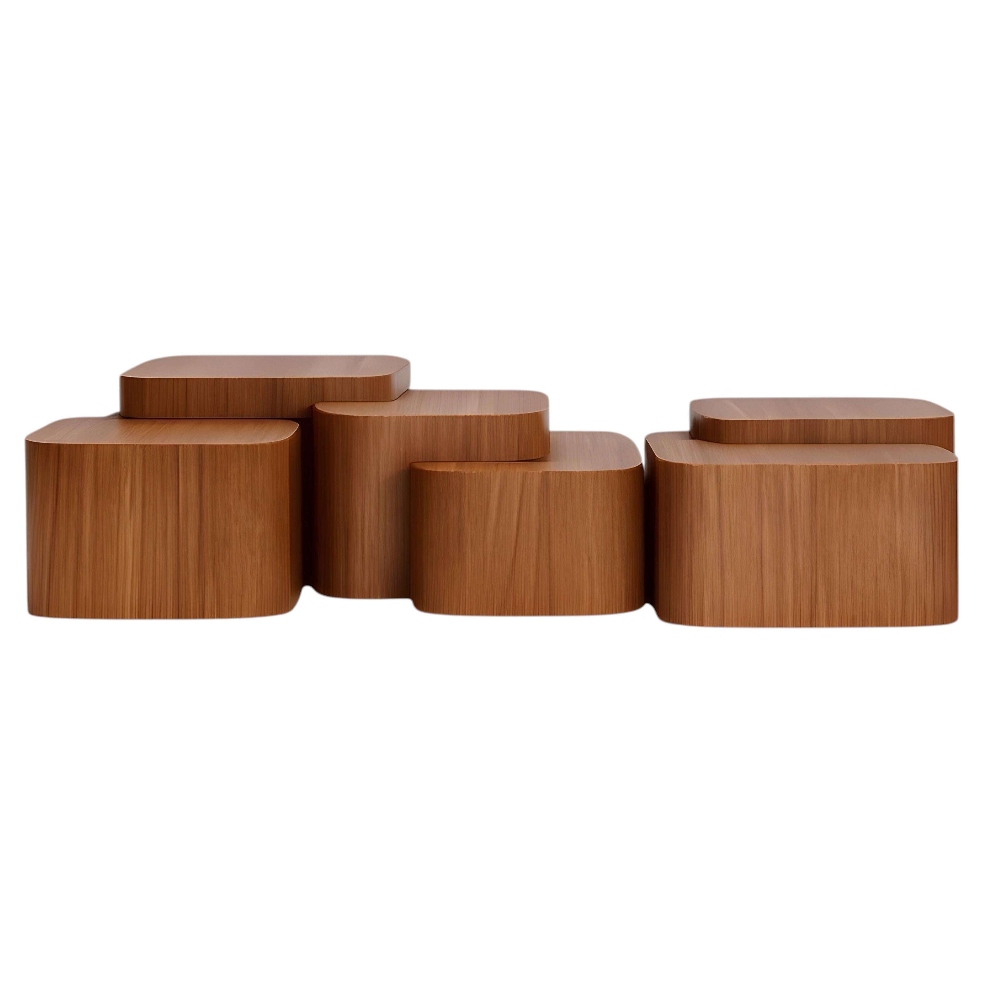 Platea Coffee Table In Matte Walnut By Sidani Design For Sale