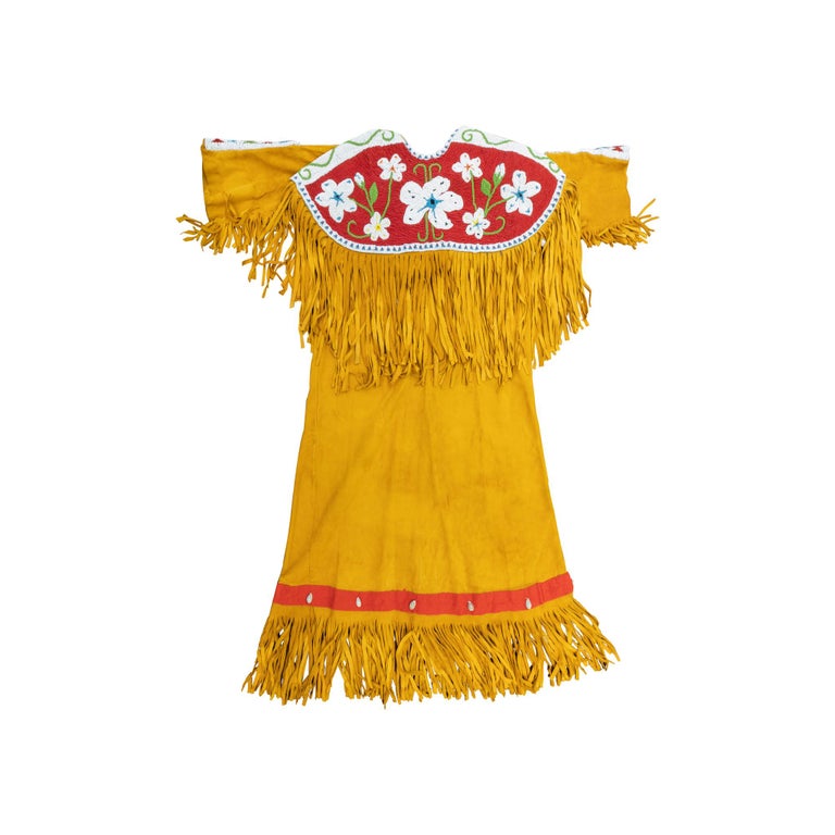 American Plateau Beaded Dress with Matching Horse Regalia For Sale